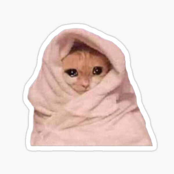 Ginger Cat Wrapped in Pink Blanket