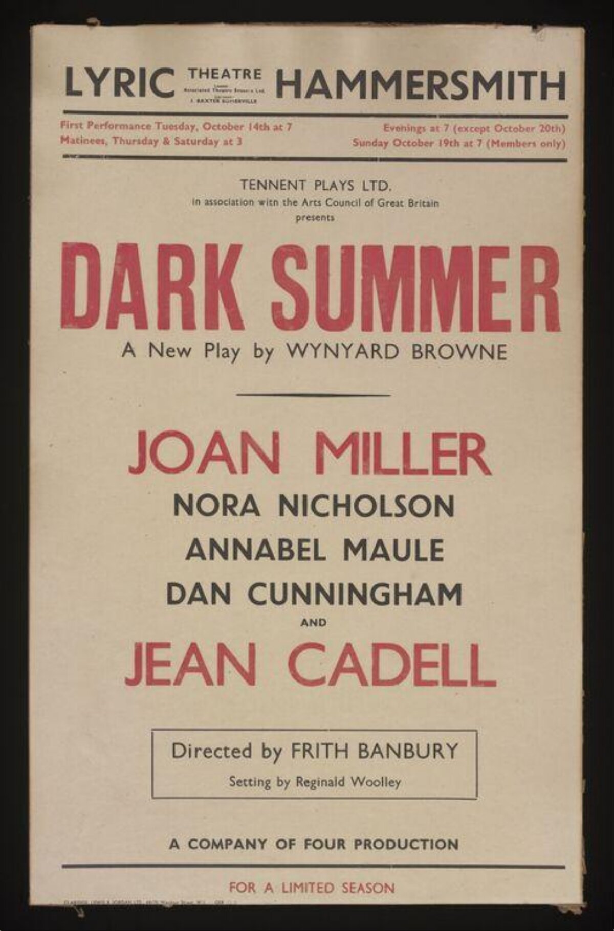 Vintage Dark Summer Play Poster