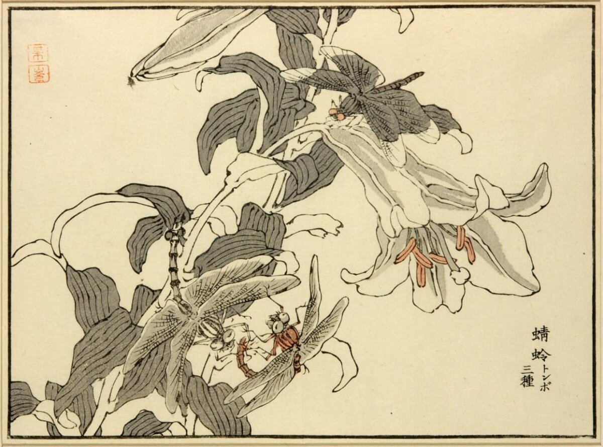Dragonflies and Lilies Japanese Woodblock Print