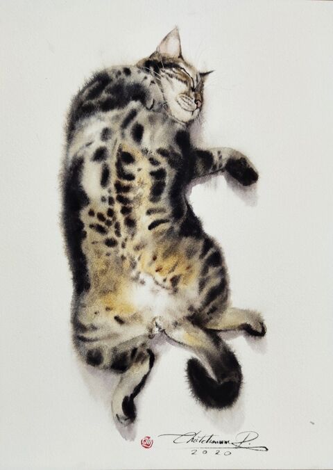 Sleeping Spotted Tabby Cat