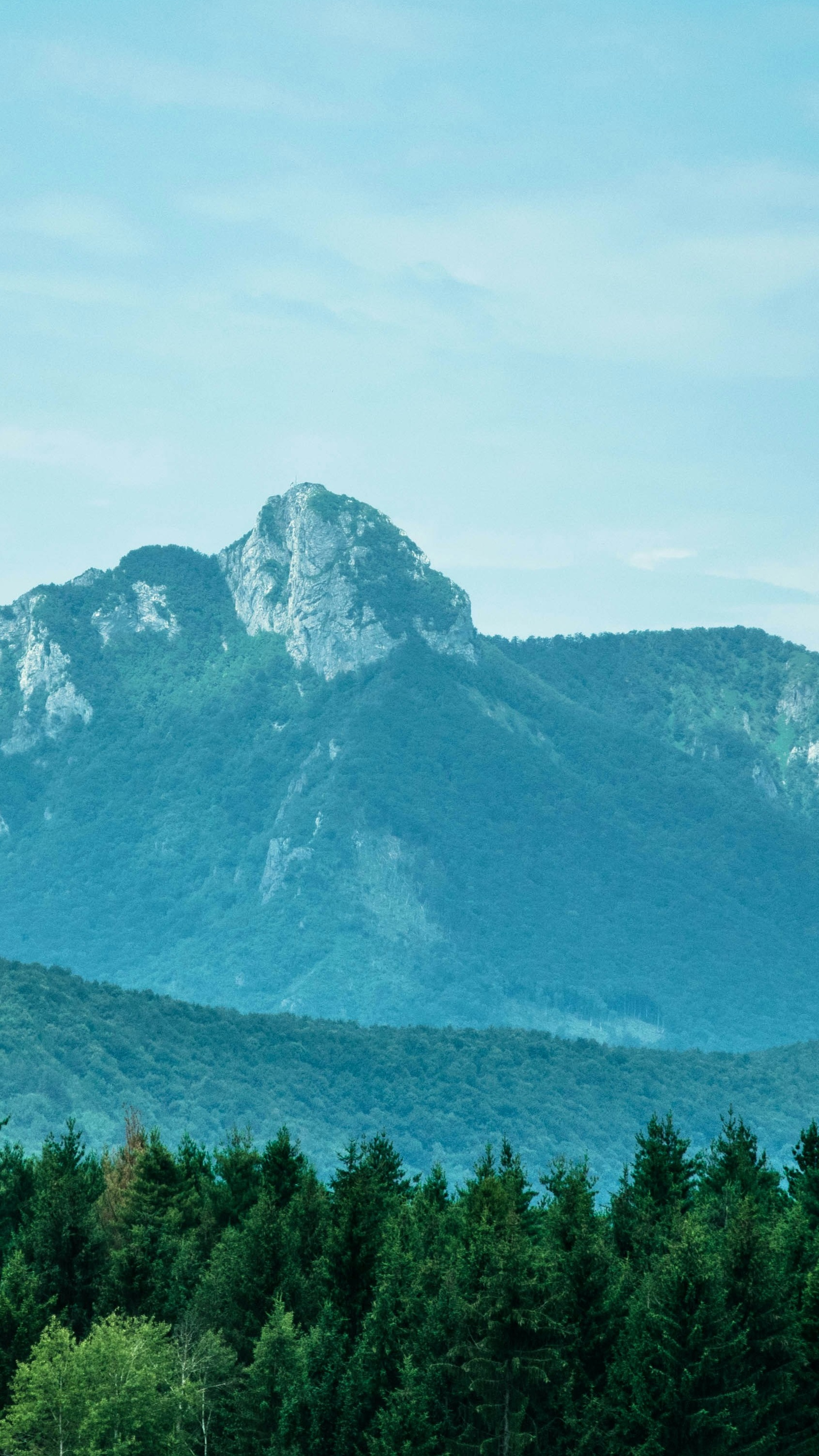 Rocky Peak over Forested Mountains
