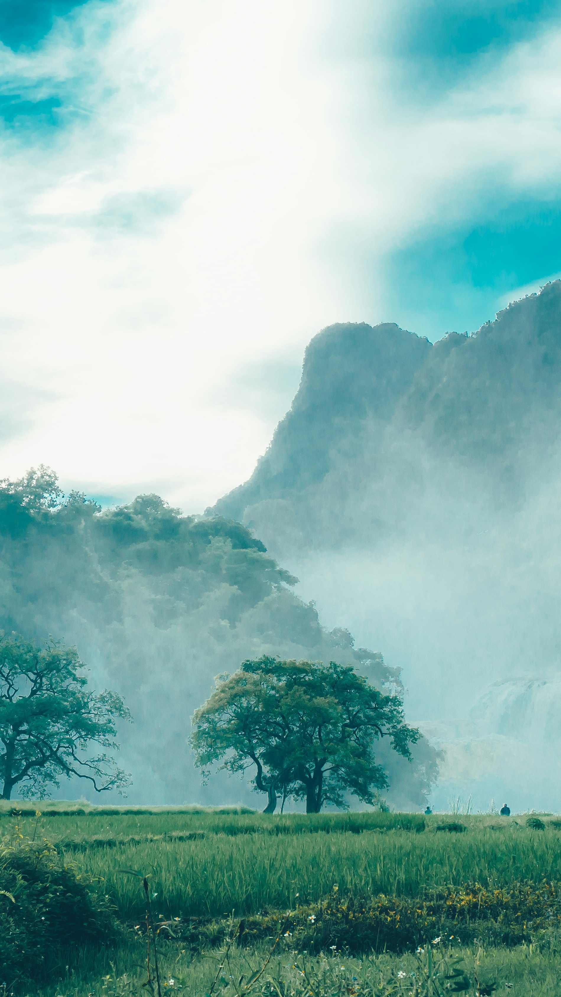 Landscapes