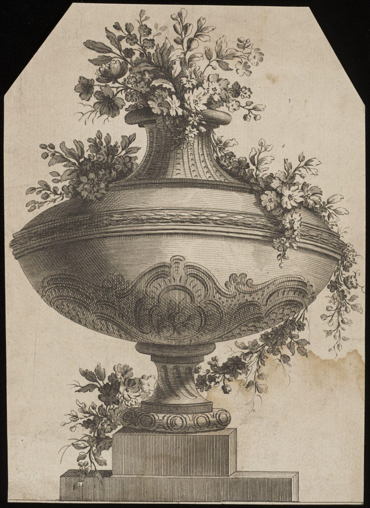 Engraved Flower Vase Still Life