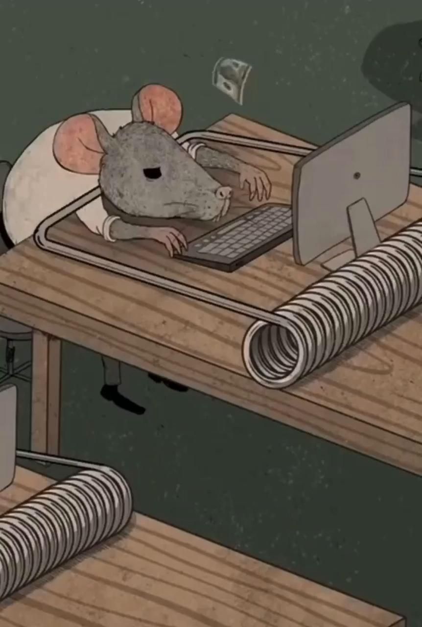 Office Rat Working At Desk