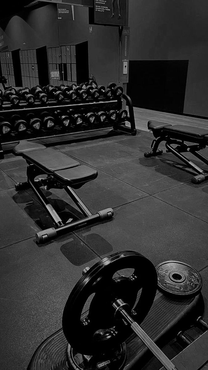 Modern Gym Weight Training Area — Fitness