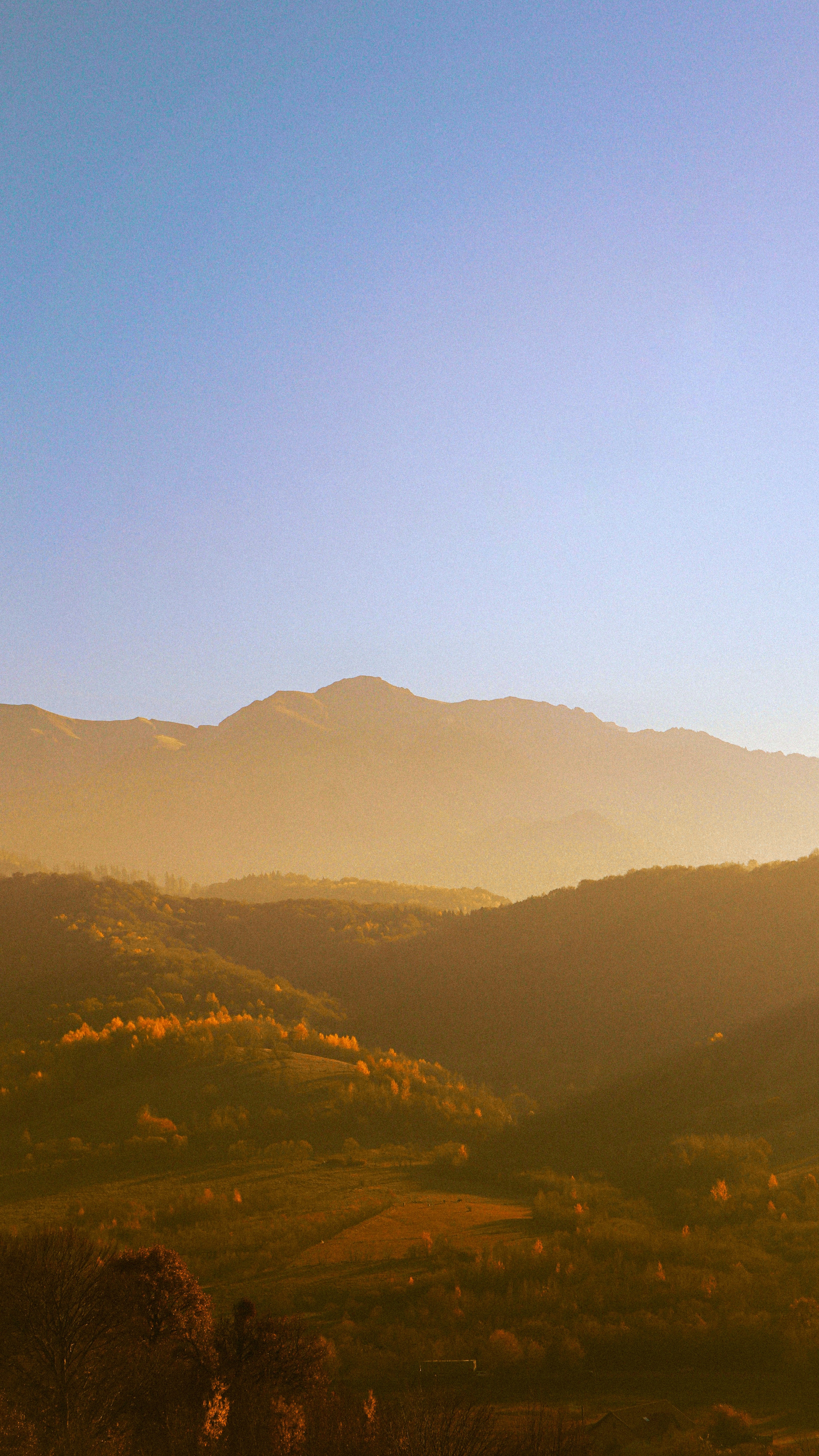 Landscapes