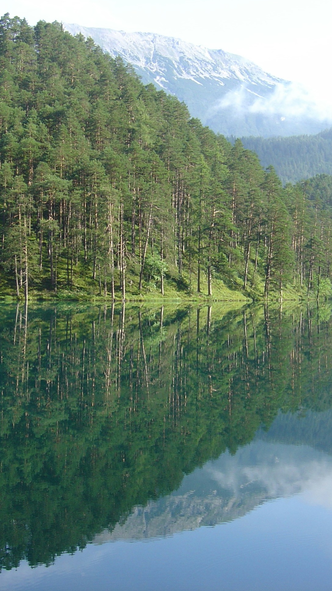 Landscapes