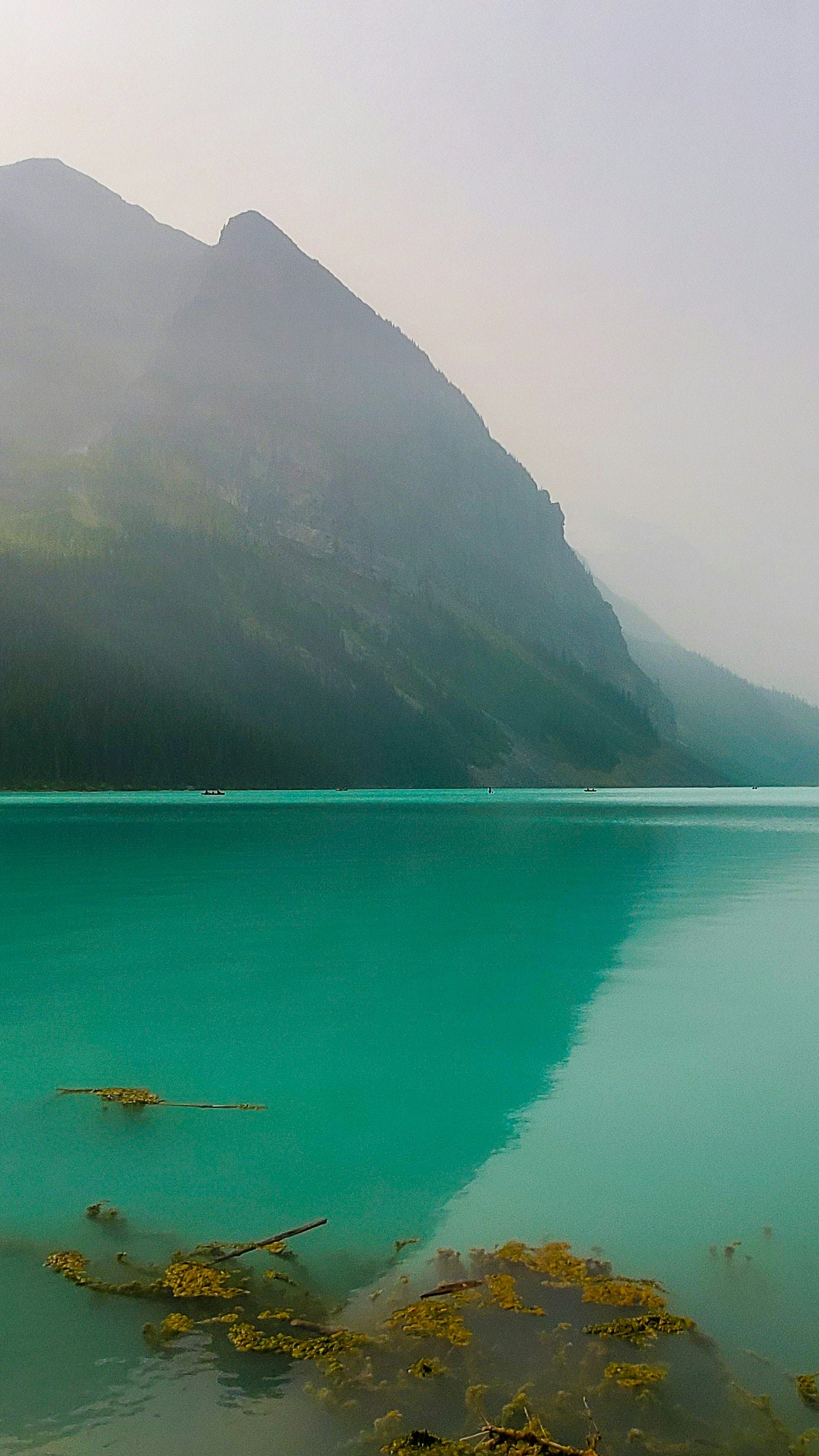 Wallpapers
