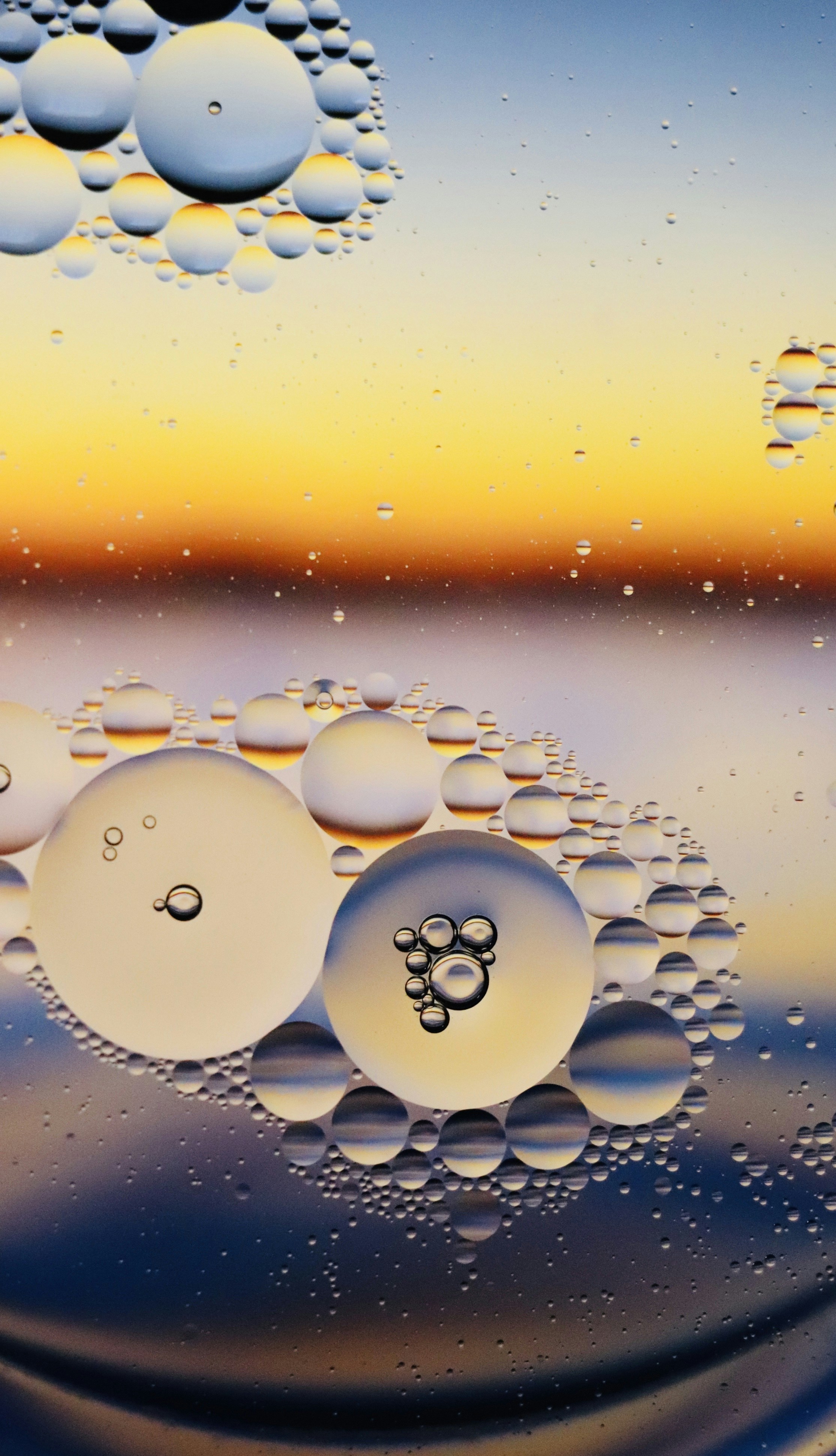 Oil Bubbles Refracting Sunset