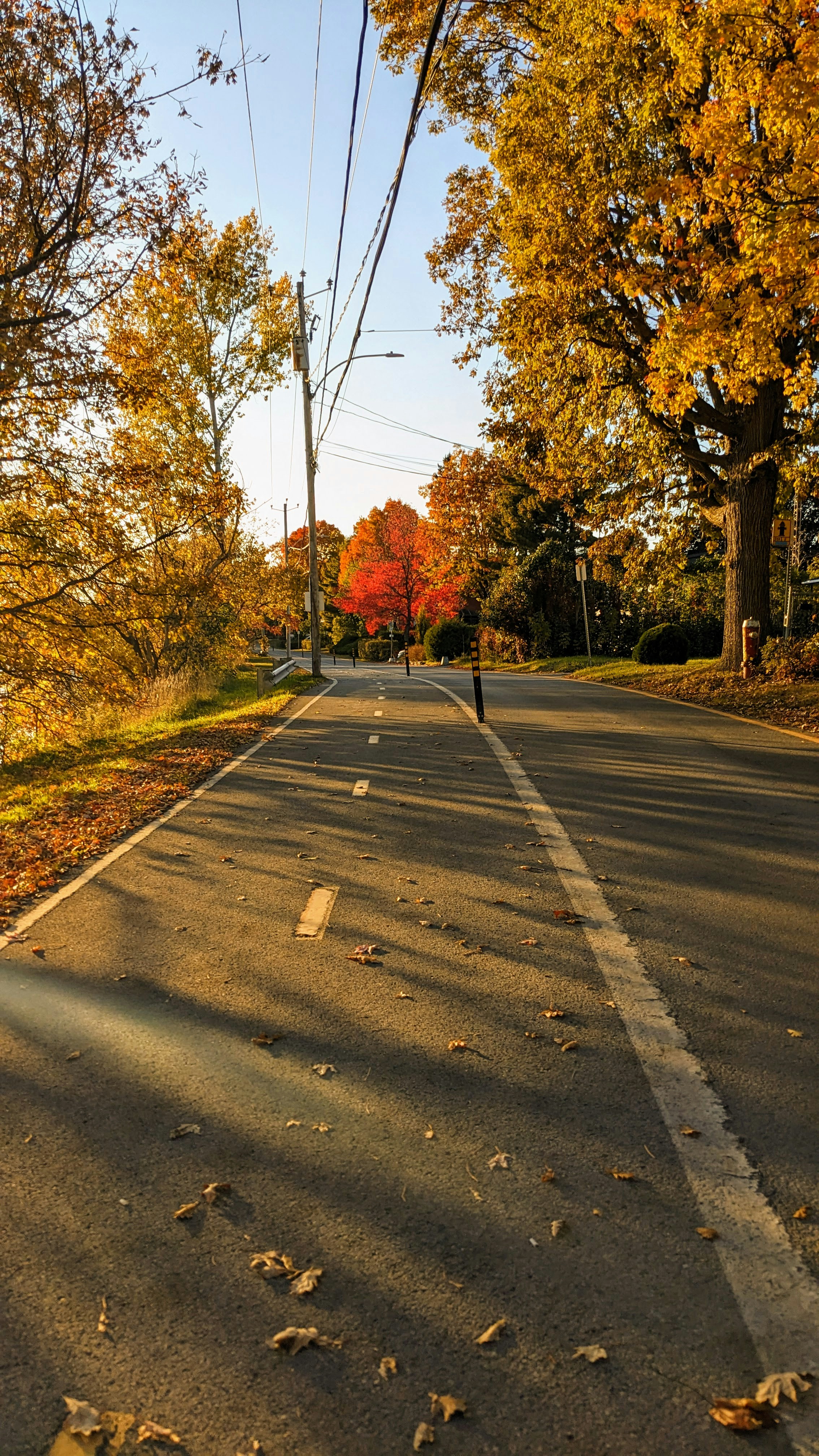 Sunlit Autumn Country Road