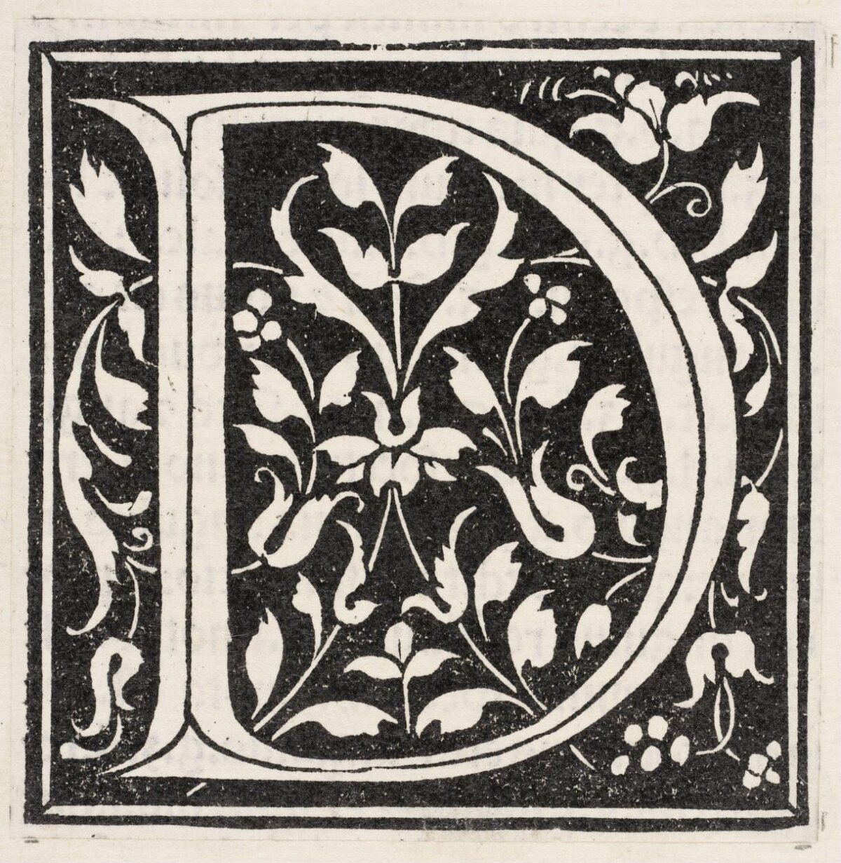 Ornate Decorated Initial Letter D