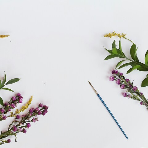 Flowers and Paintbrush on White Background
