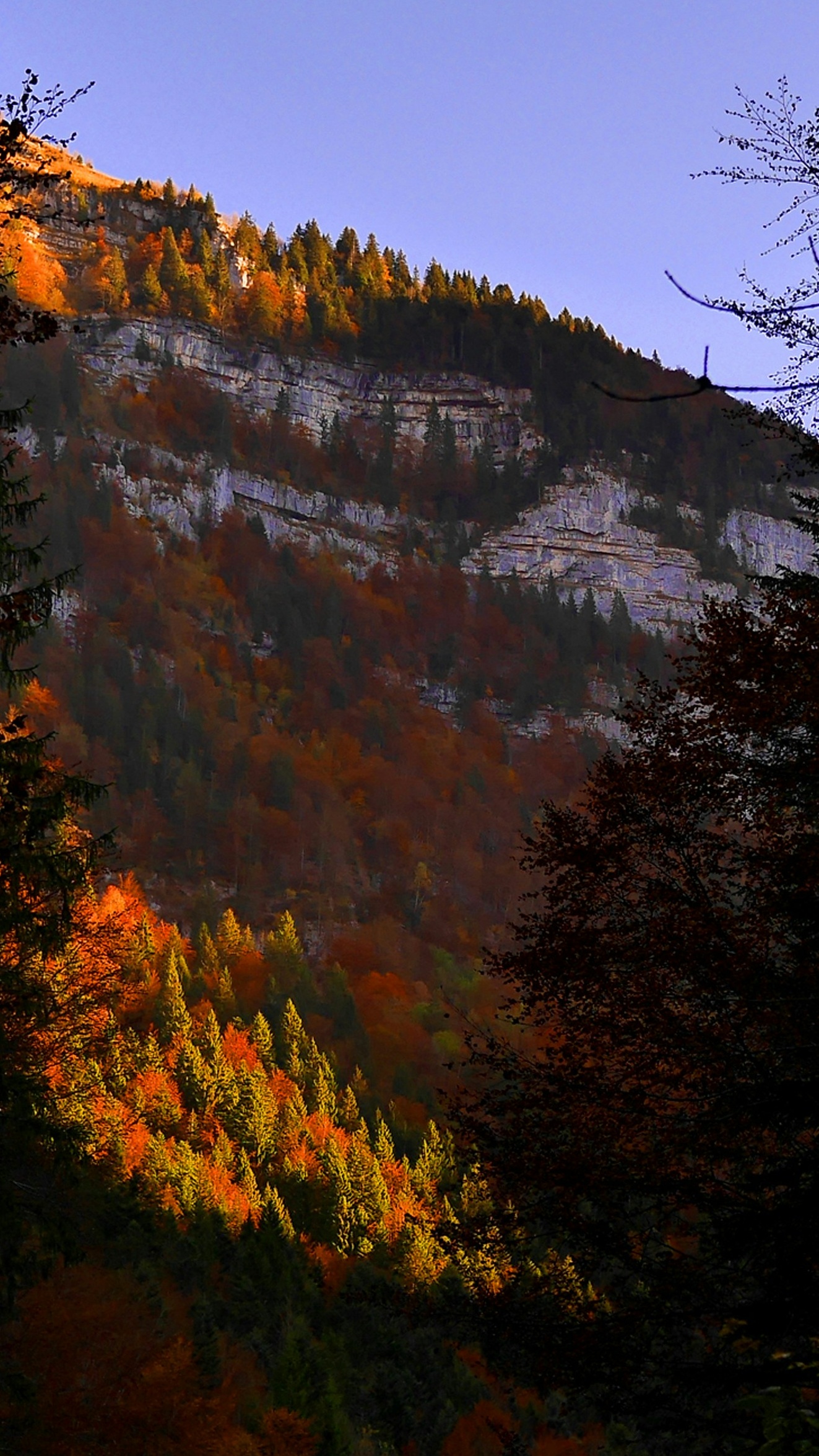 Landscapes