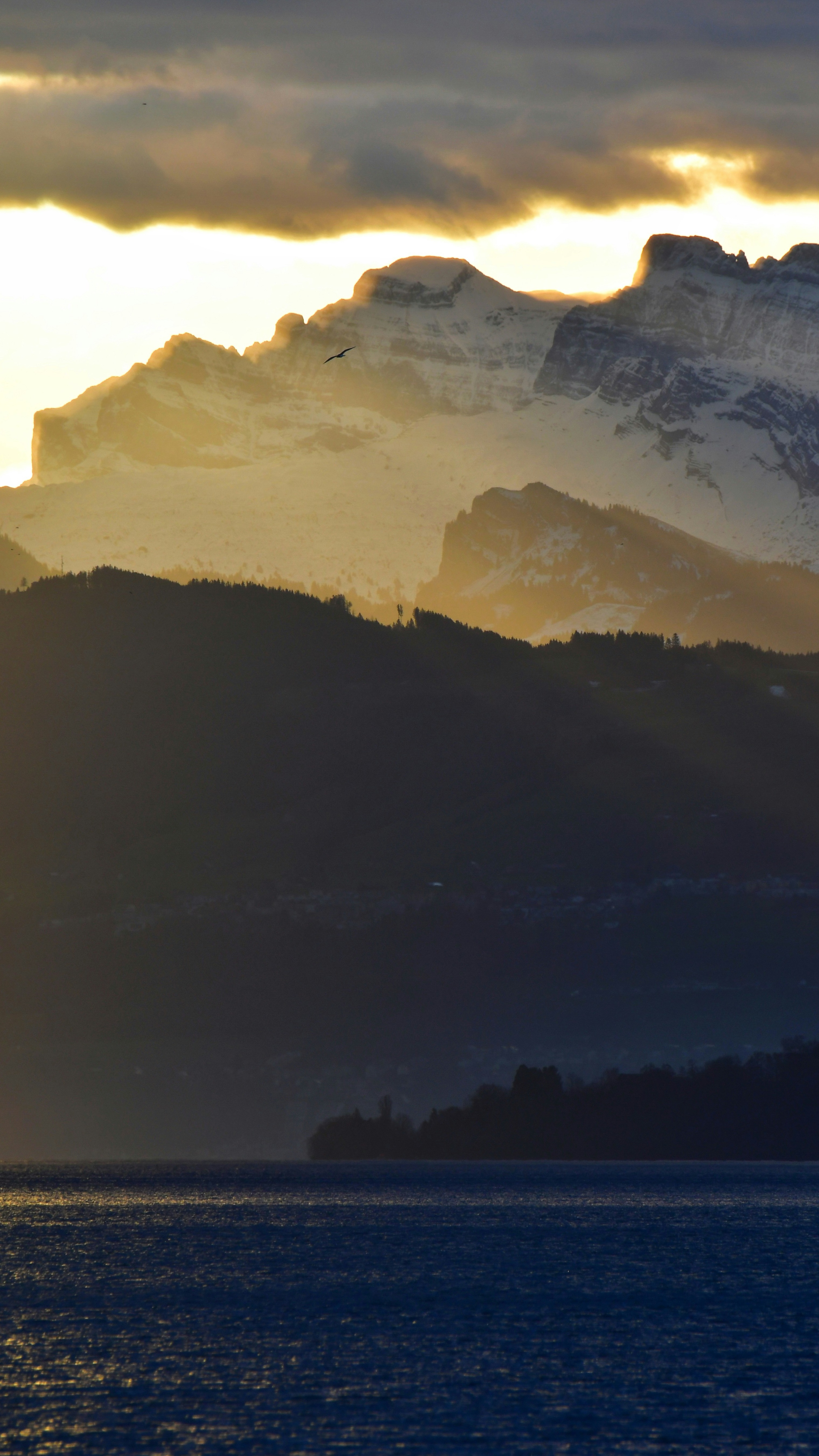Wallpapers
