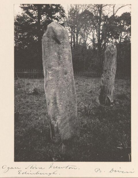 Ogham Standing Stones at Newton