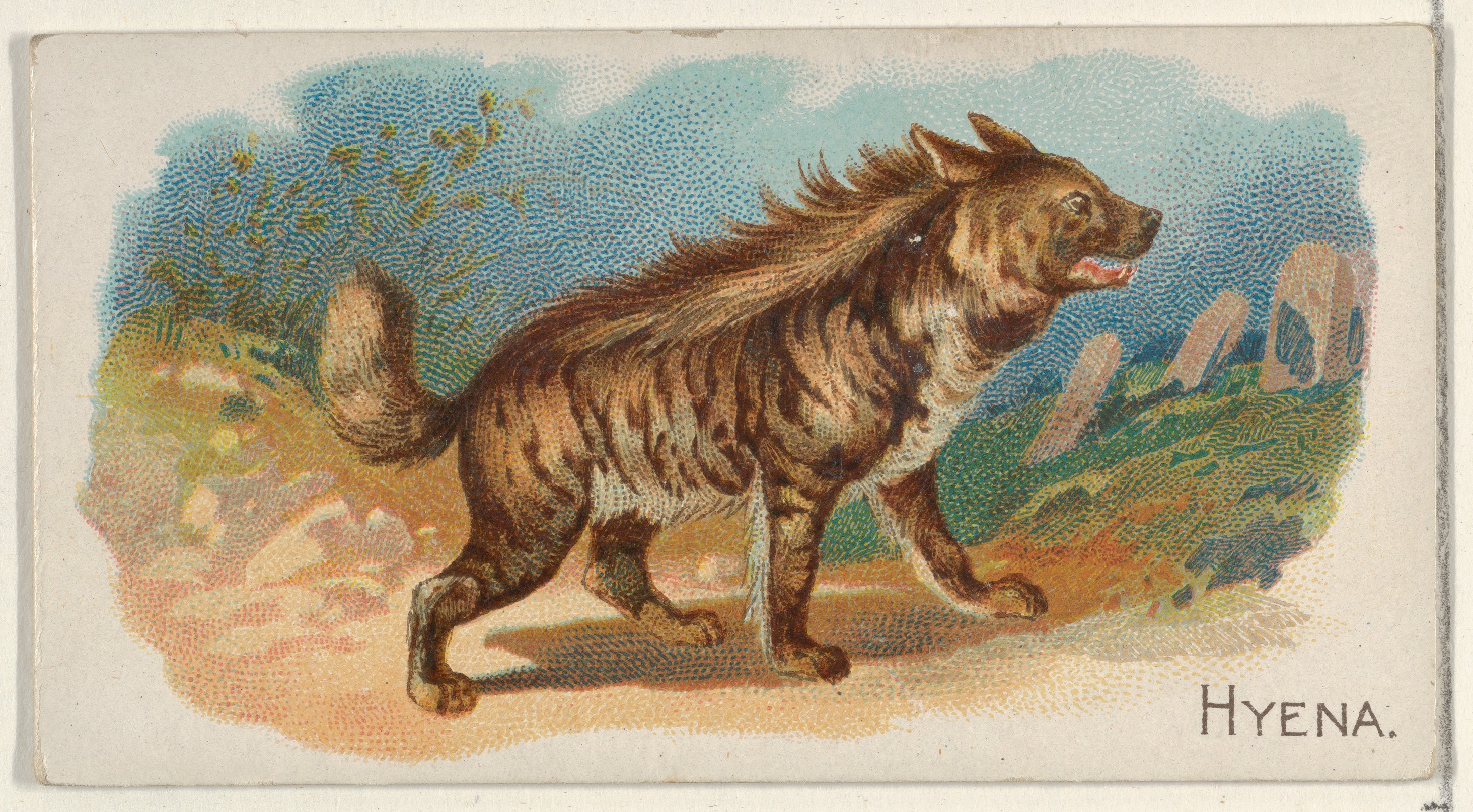 Vintage Illustration of a Hyena