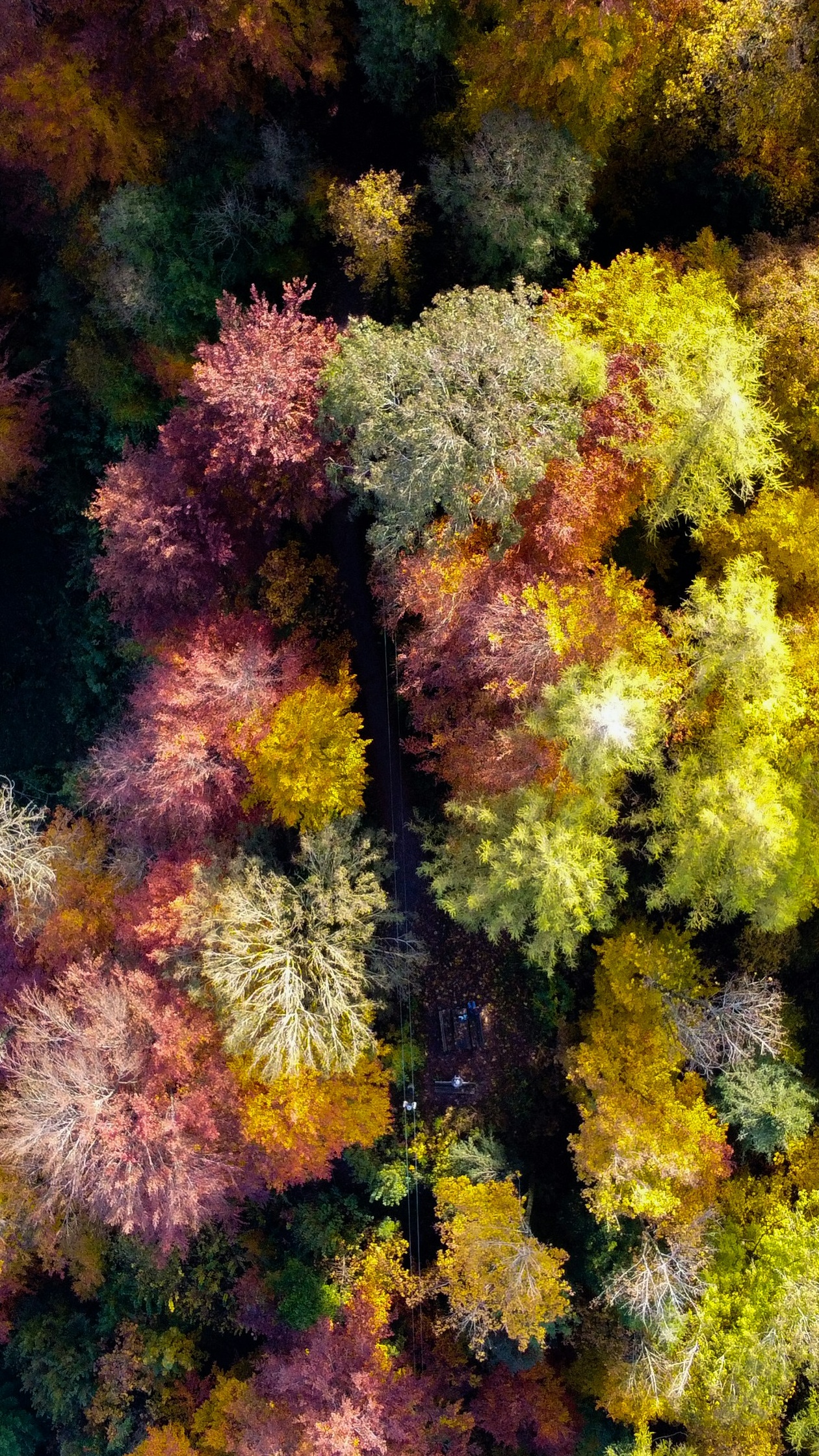 Wallpapers