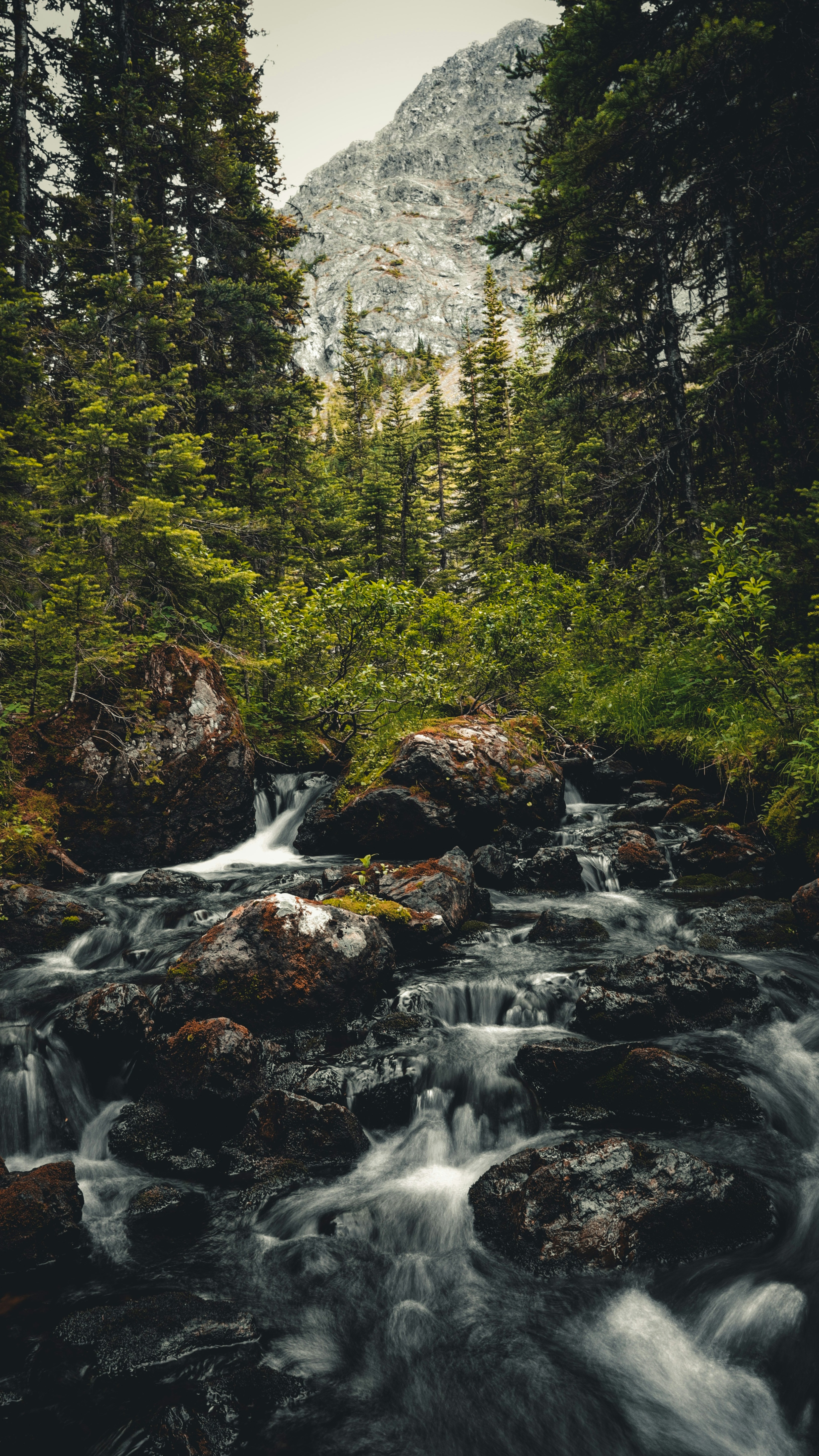 Wallpapers