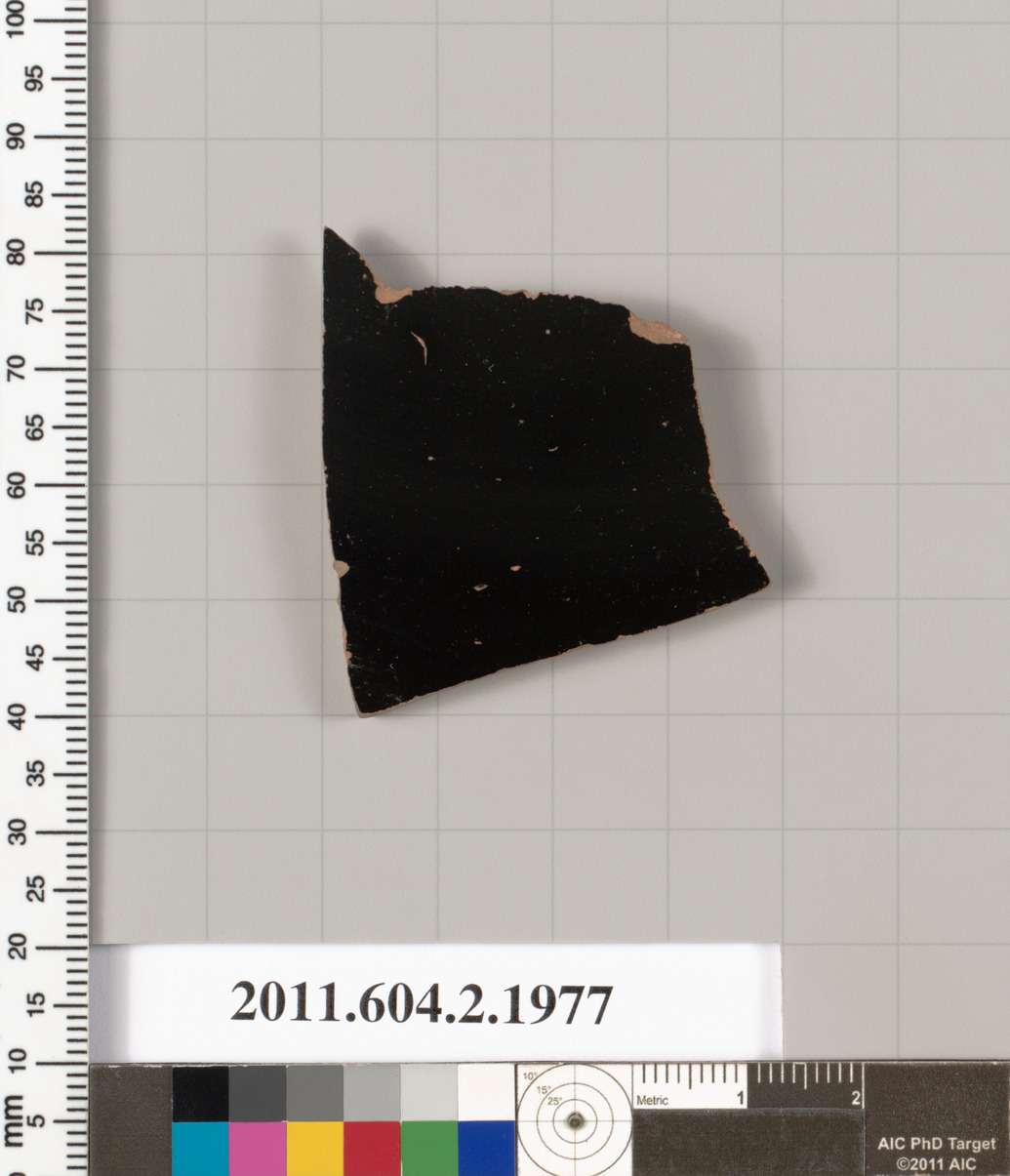 Black Glazed Pottery Fragment