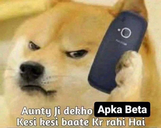 Angry Shiba Inu Complaining Meme