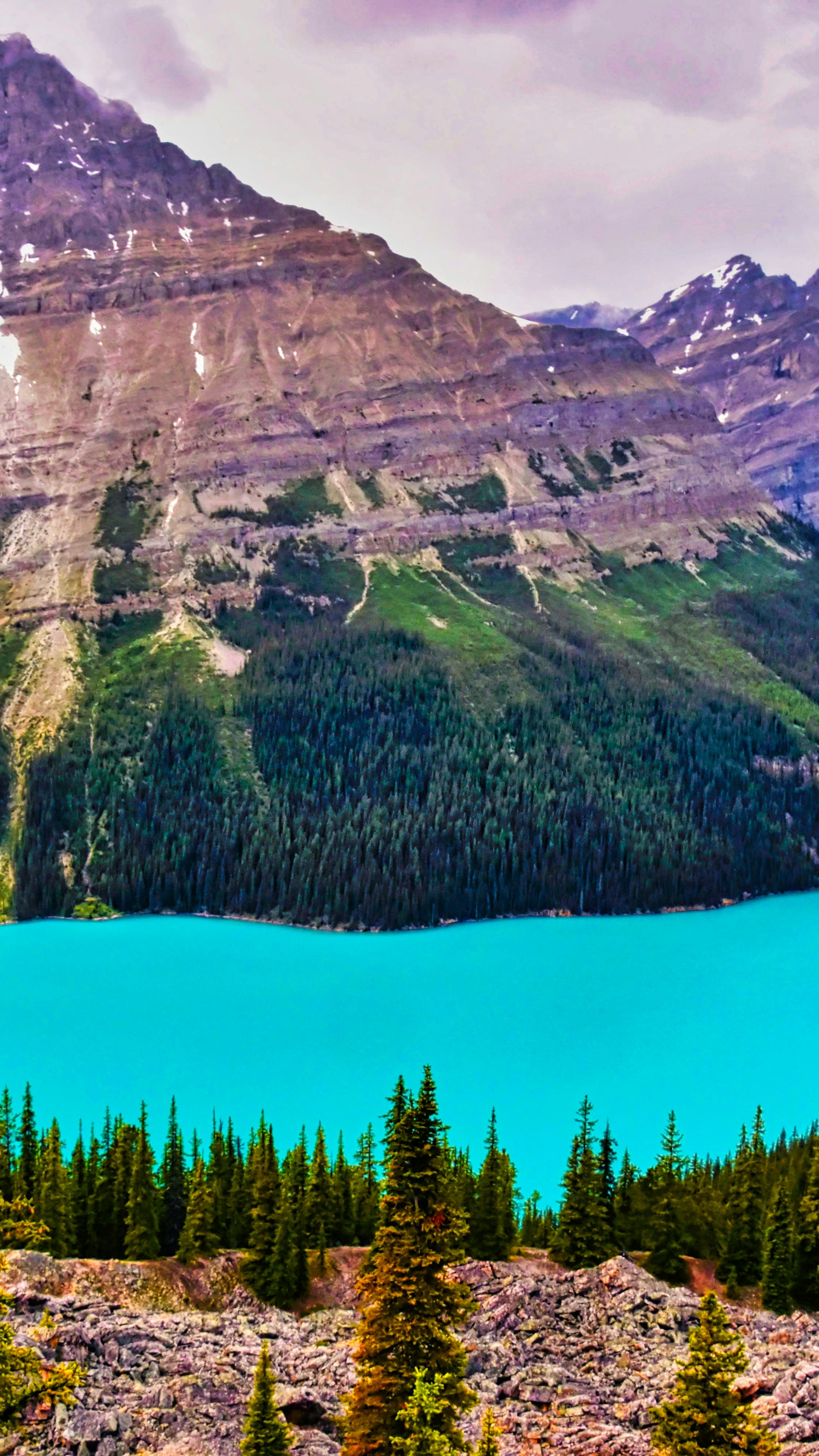 Wallpapers