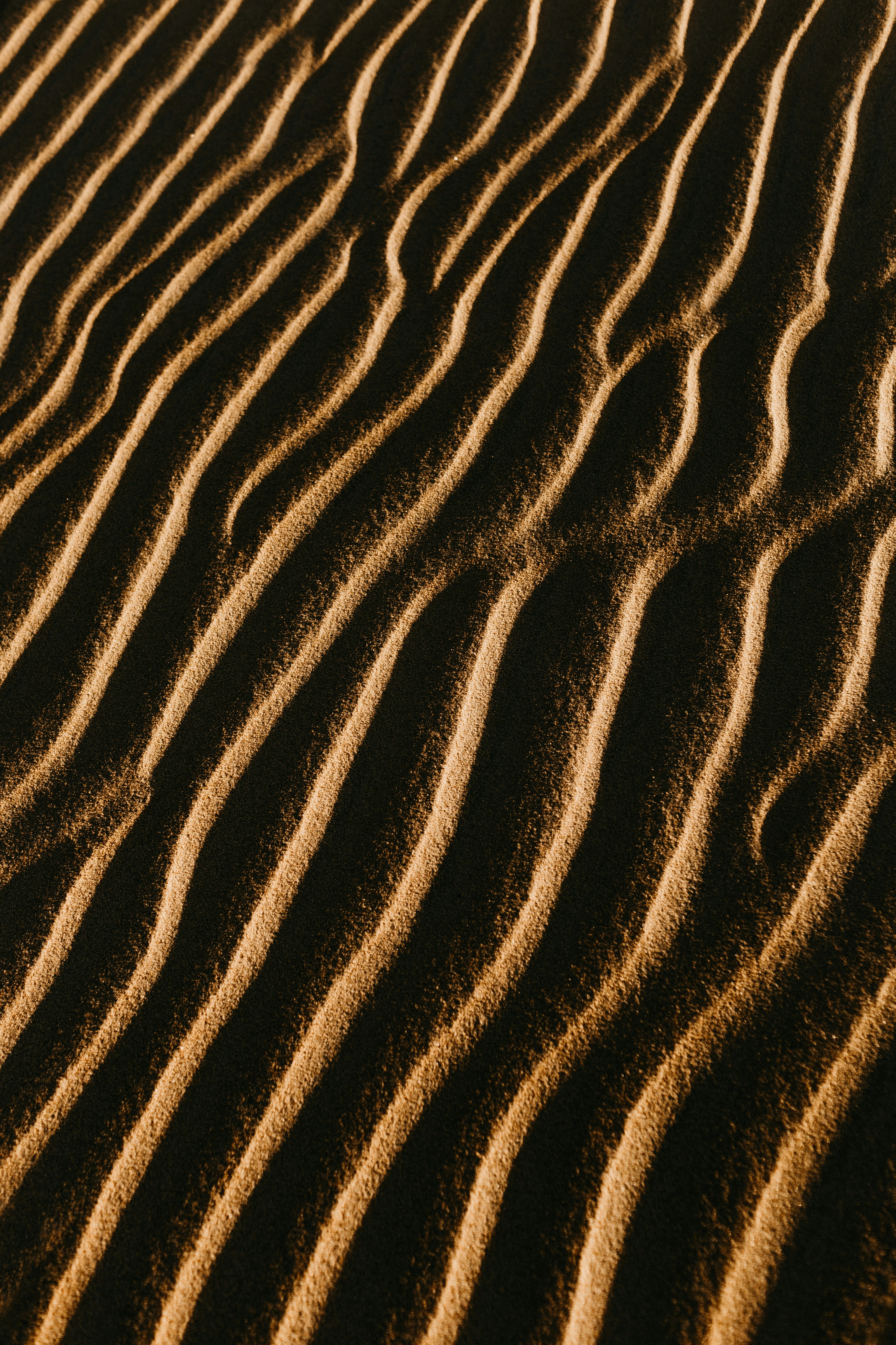 Rippled Desert Sand Dunes