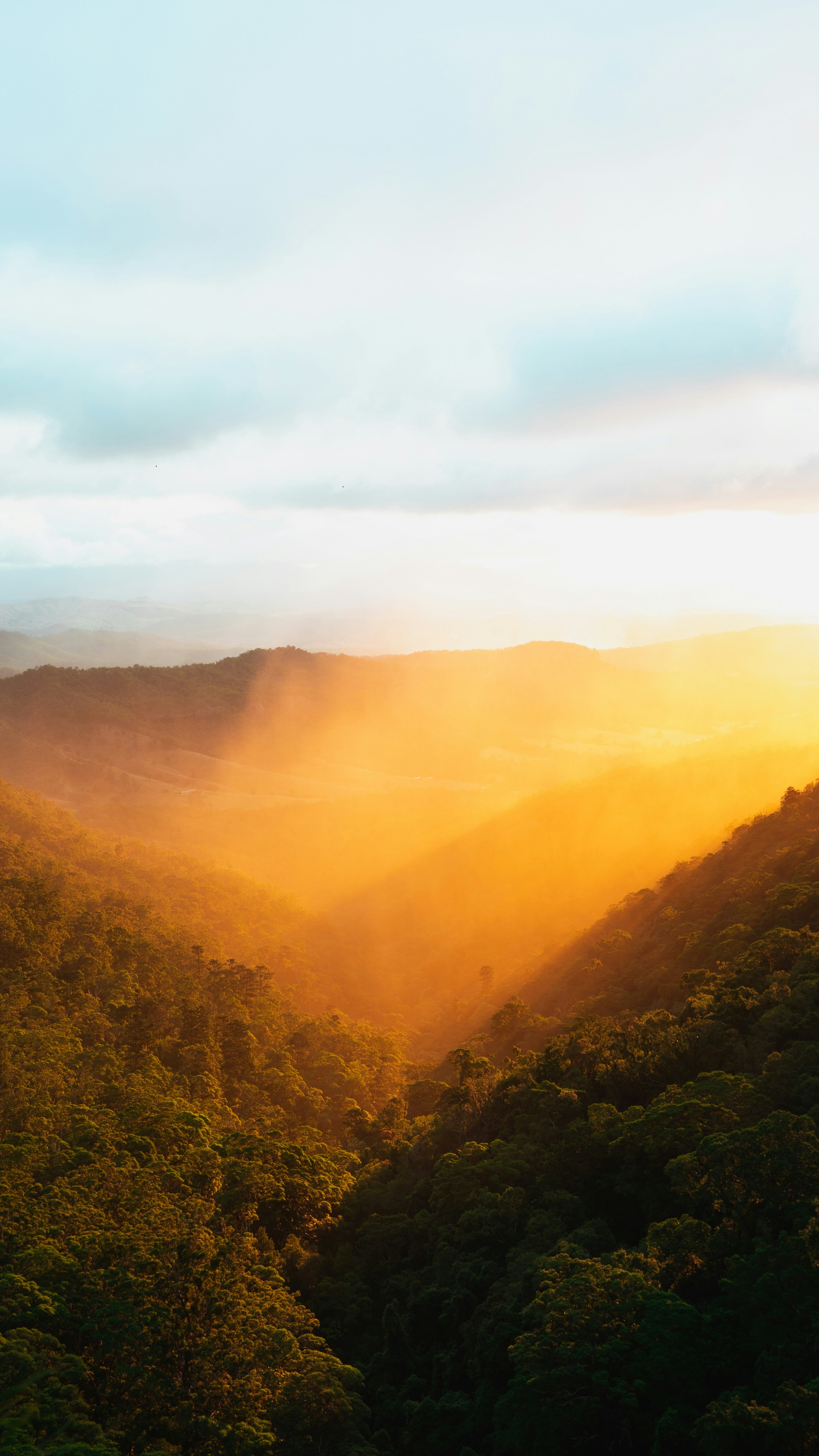 Landscapes