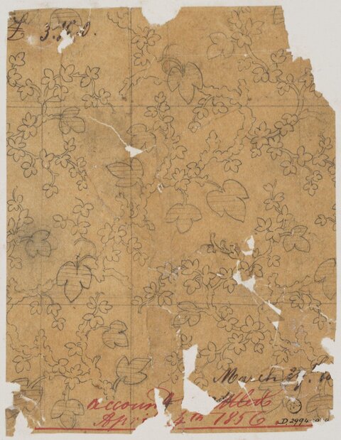 1856 Ivy Vine Textile Pattern Sketch