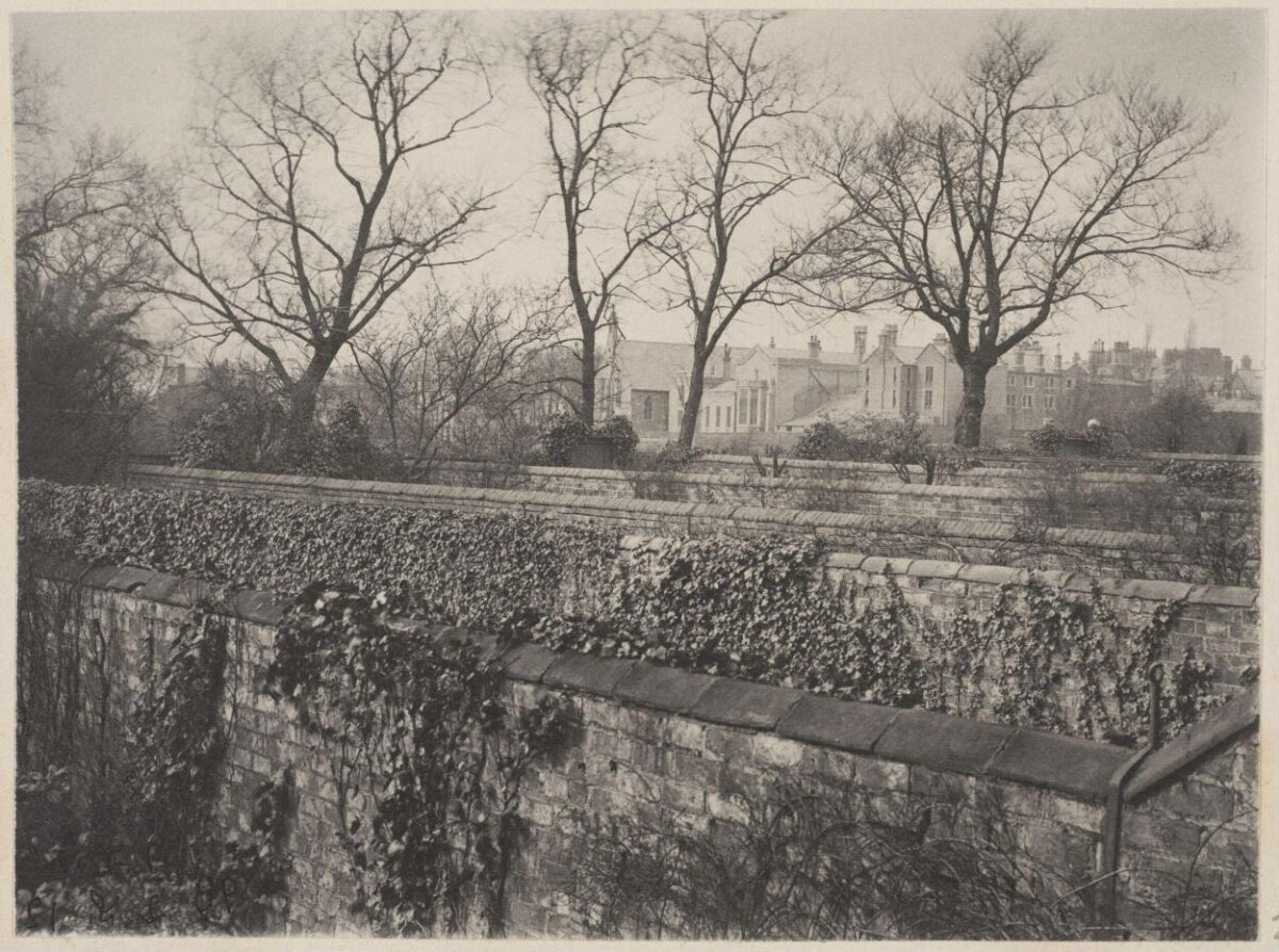 Vintage View Over Ivy-Covered Brick Walls