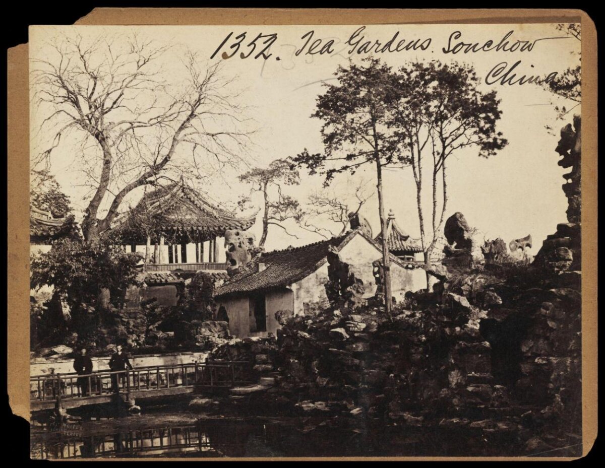 Old Photo of Suzhou Tea Garden