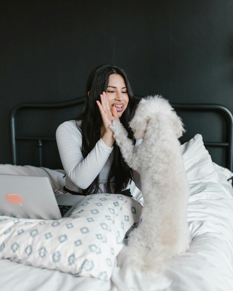 Woman High-Fiving Dog on Bed