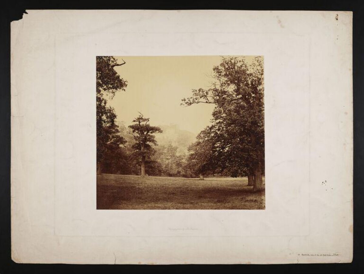 Vintage Park Landscape Photo