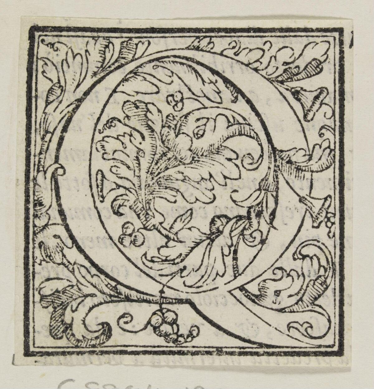 Ornate Woodcut Initial Letter Q