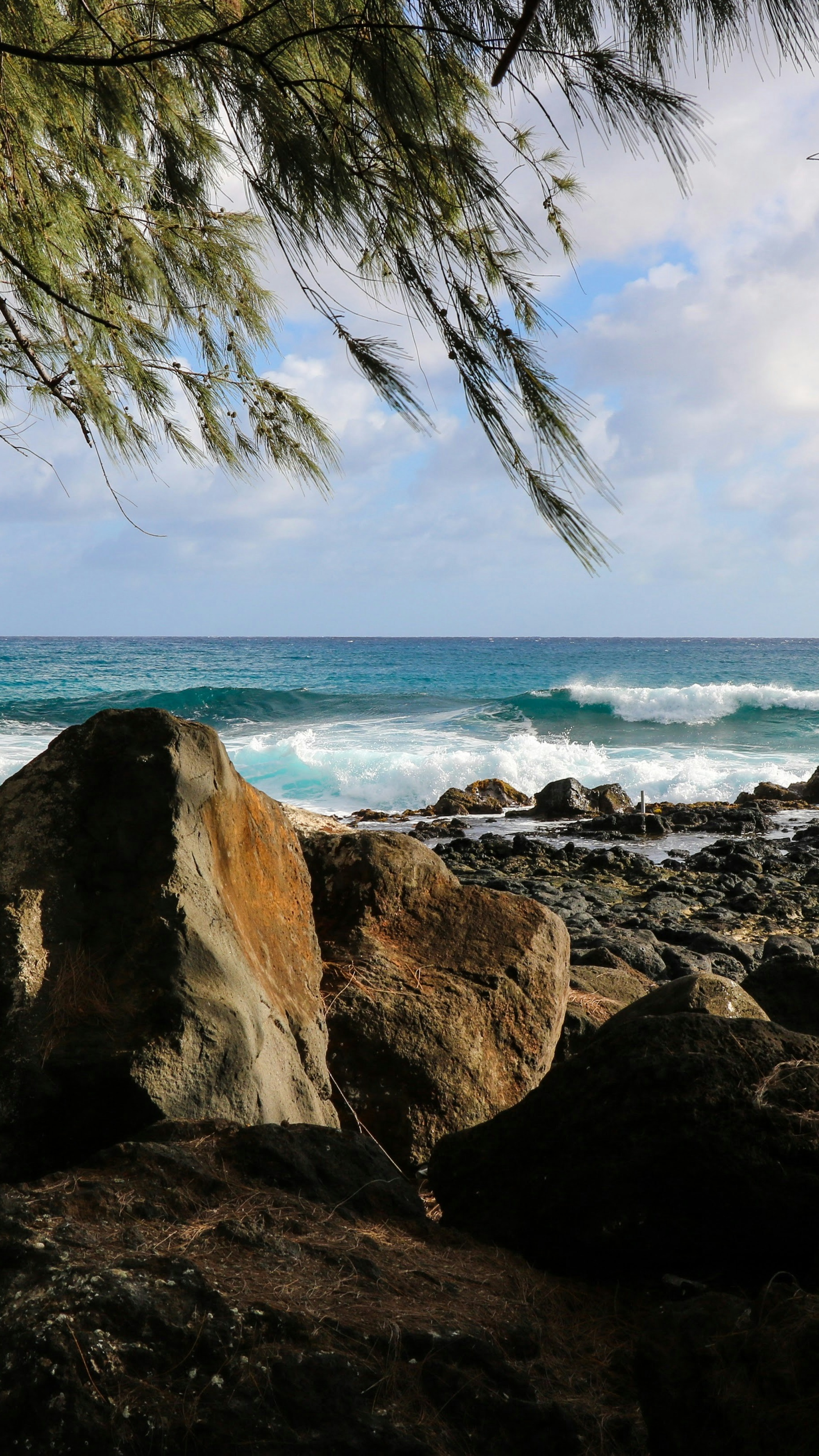 Rocky Ocean Shore View