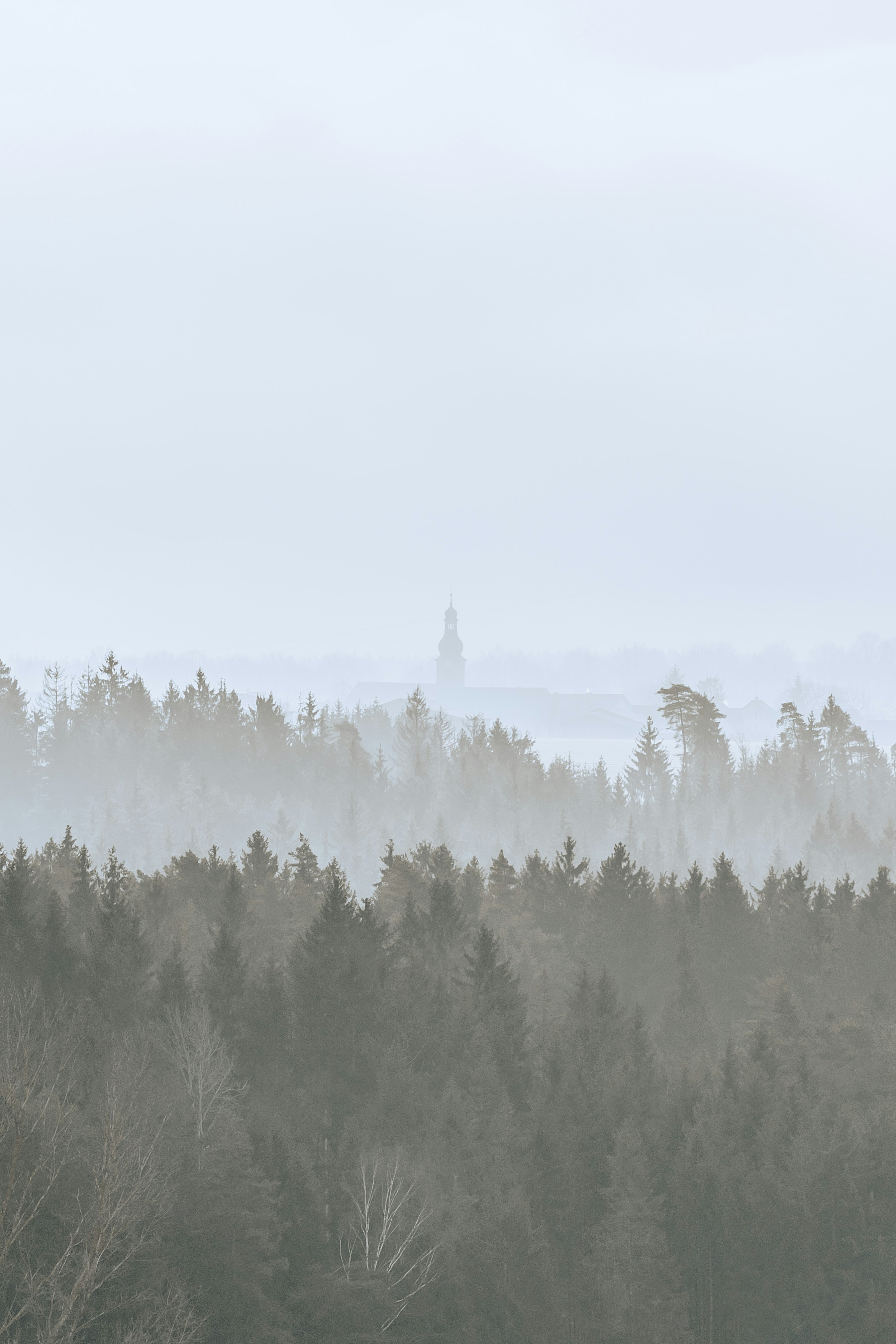 Foggy Forest With Distant Church Spire