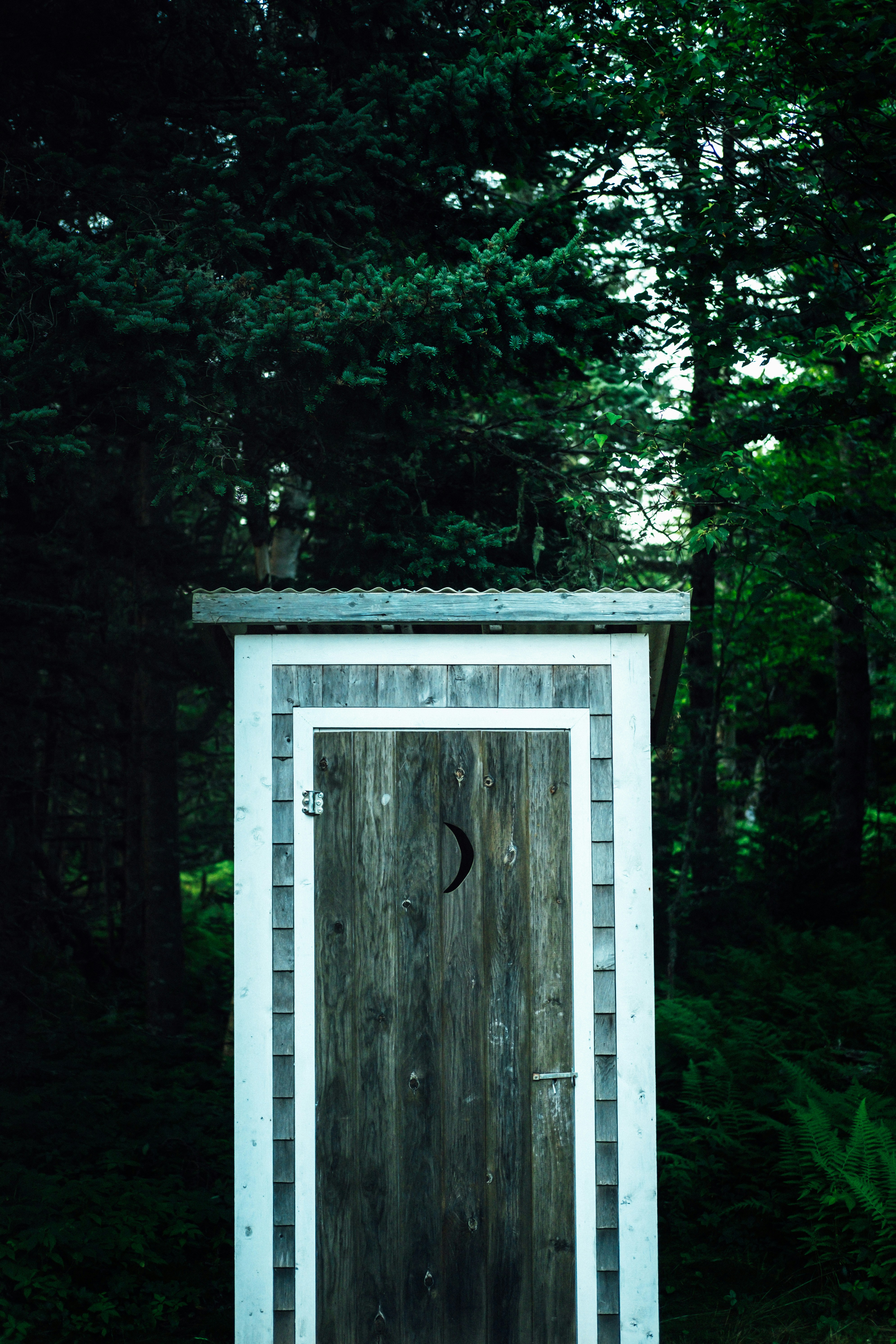 Wooden Outhouse in the Forest