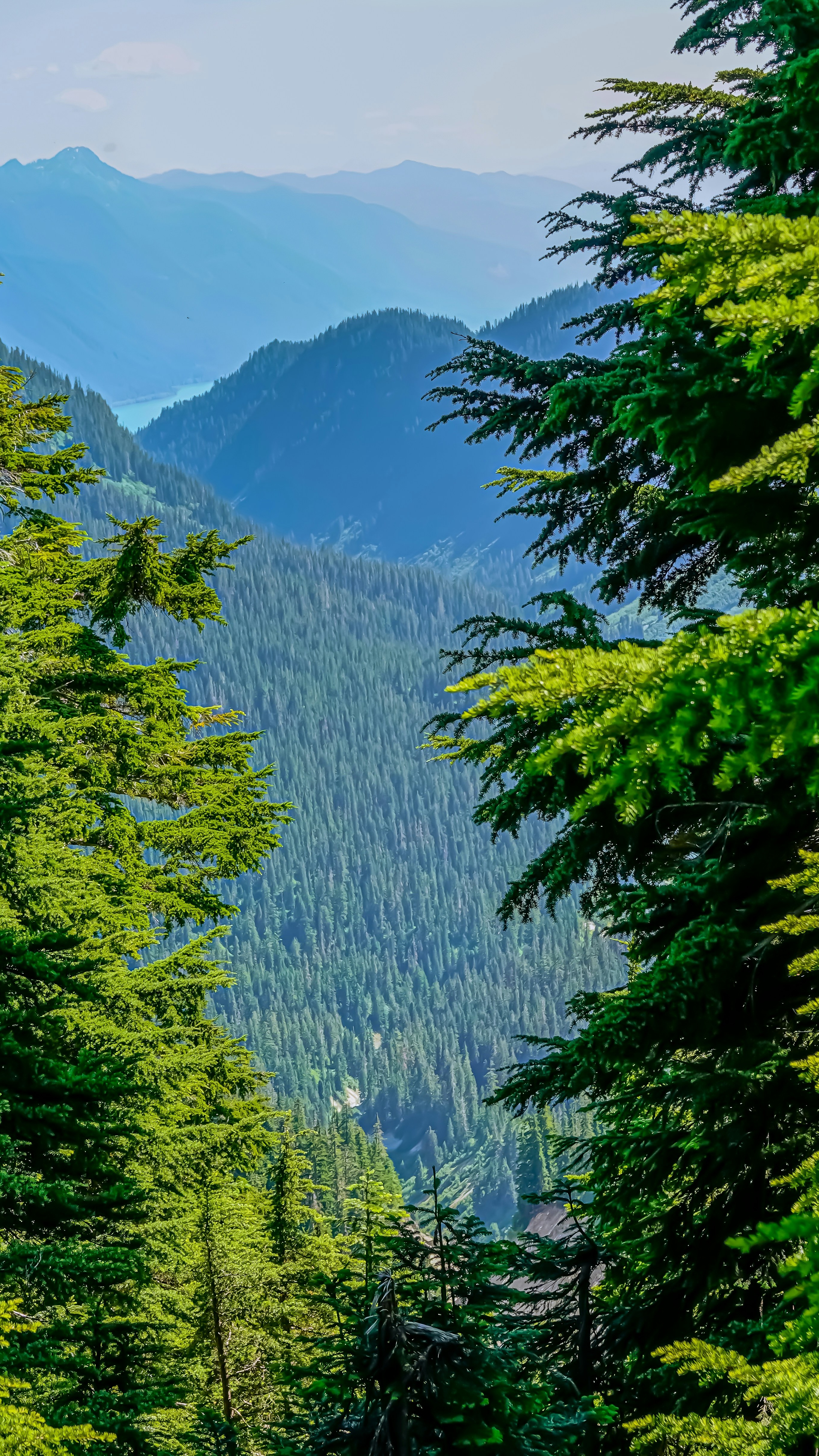 Landscapes
