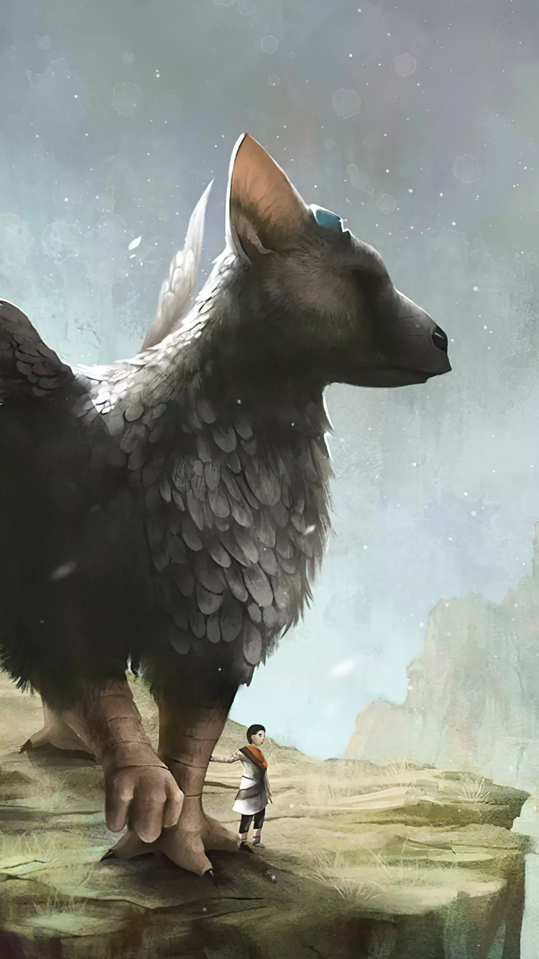 Wallpapers