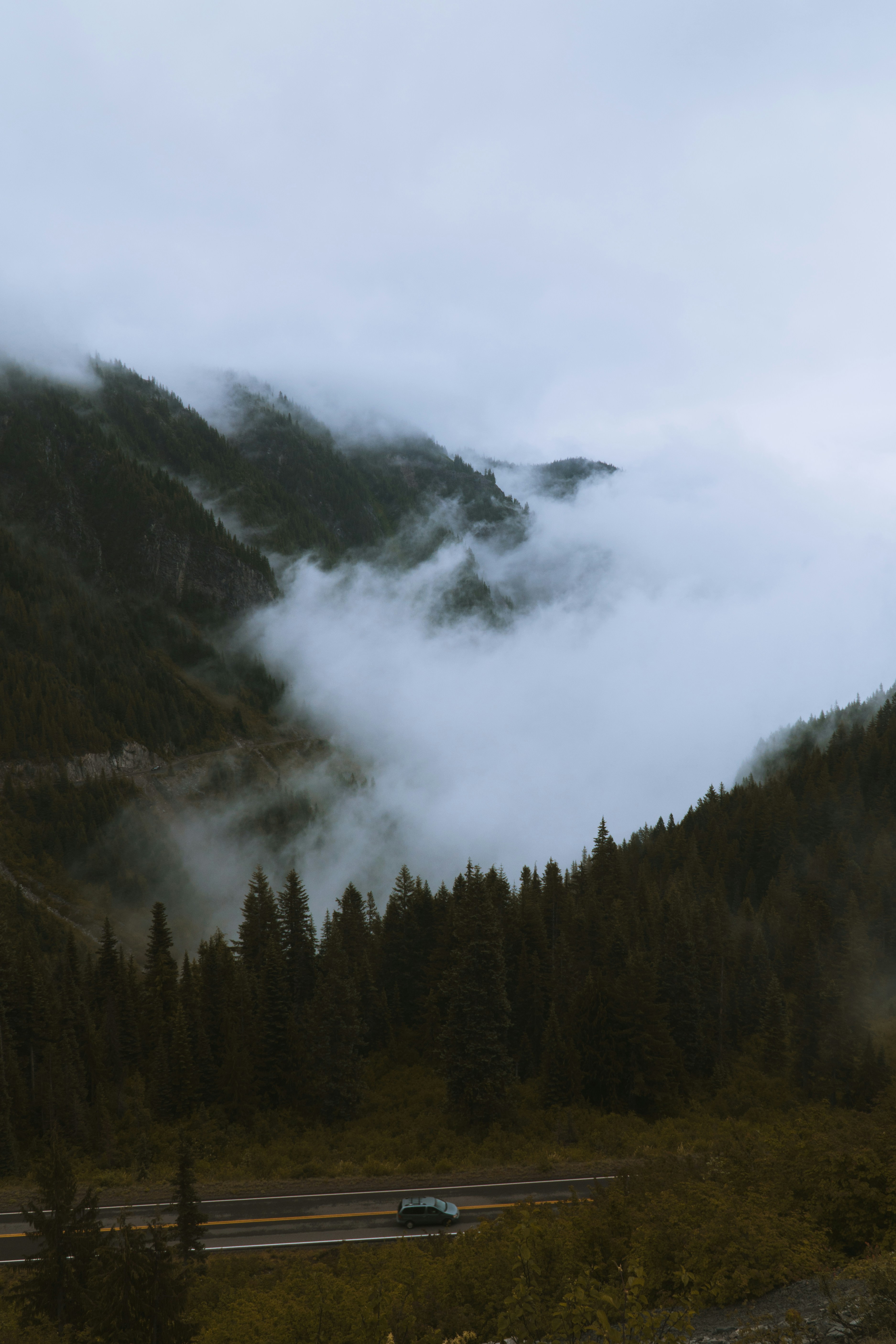Foggy Mountain Highway