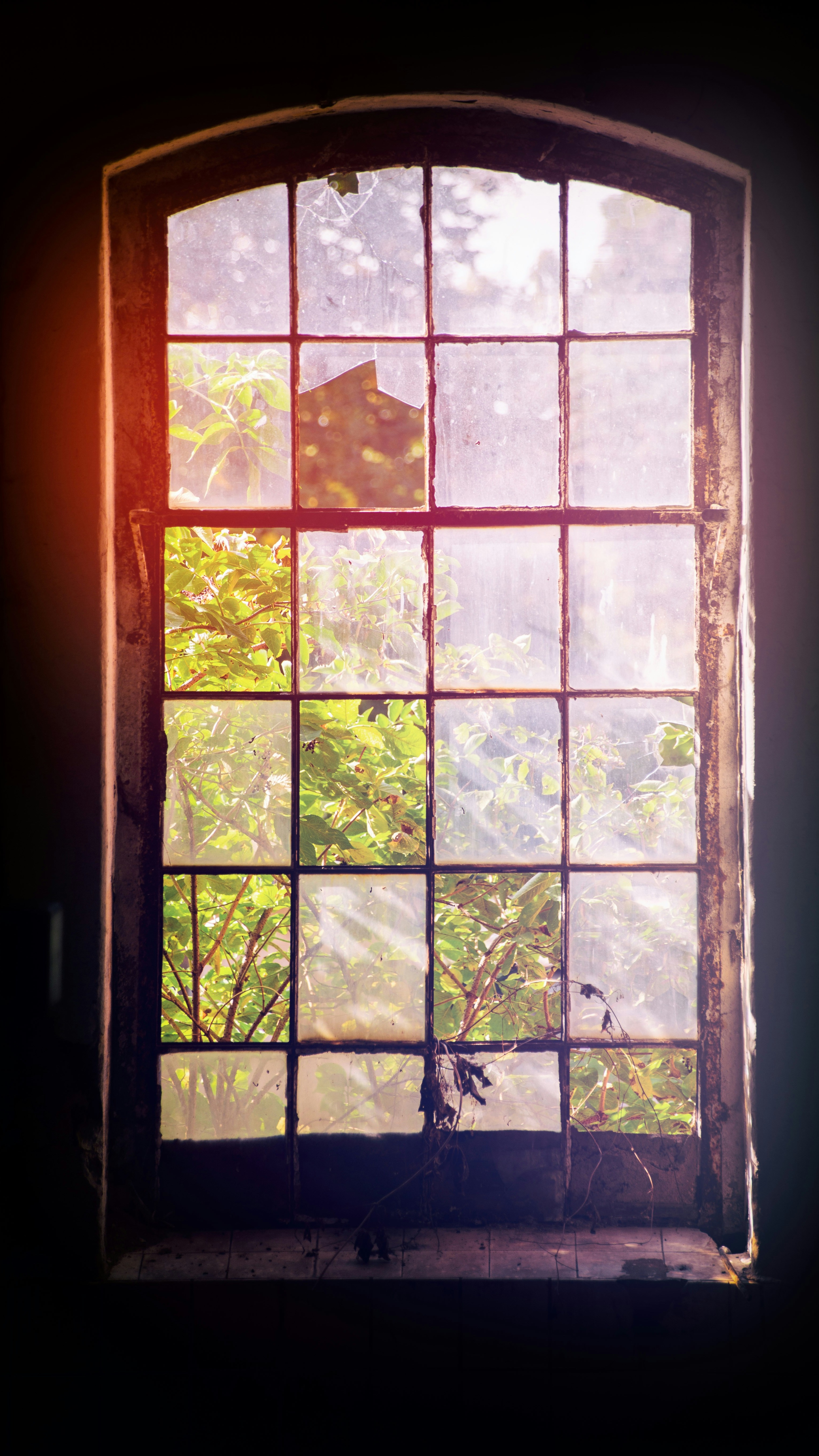 Wallpapers