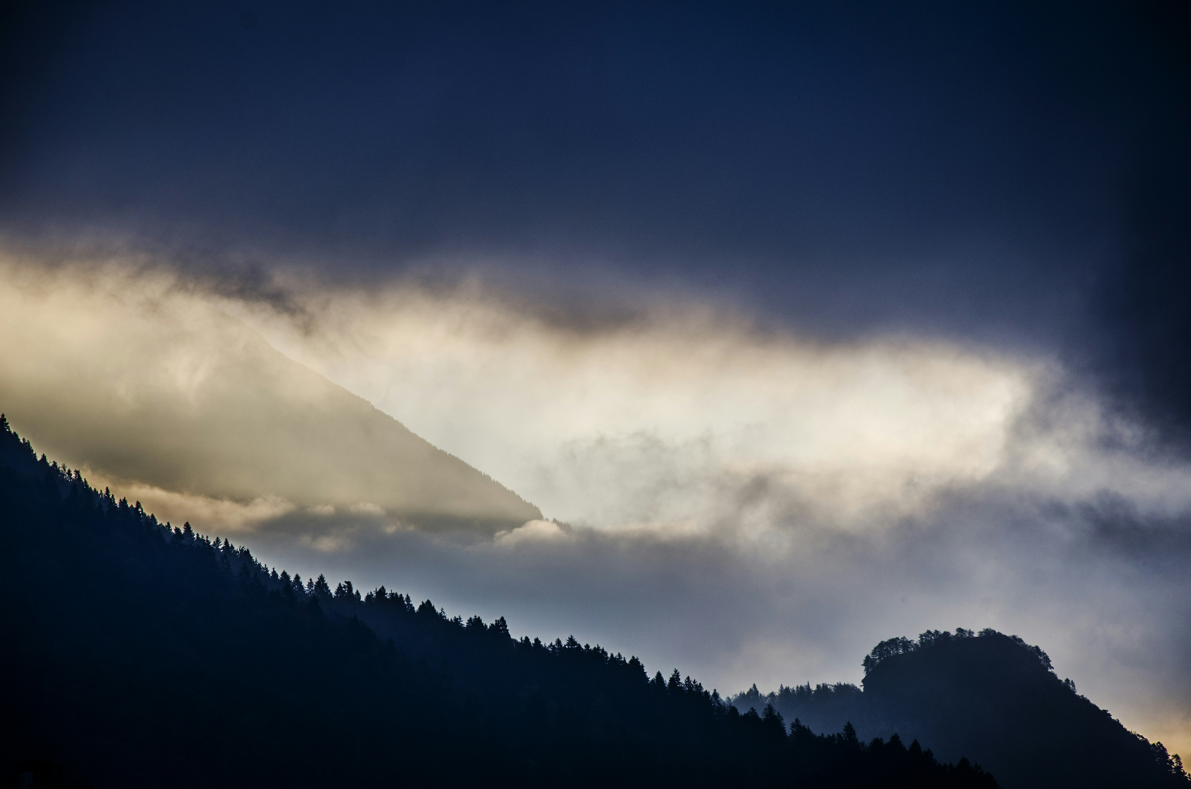 Misty Mountain Forest Landscape