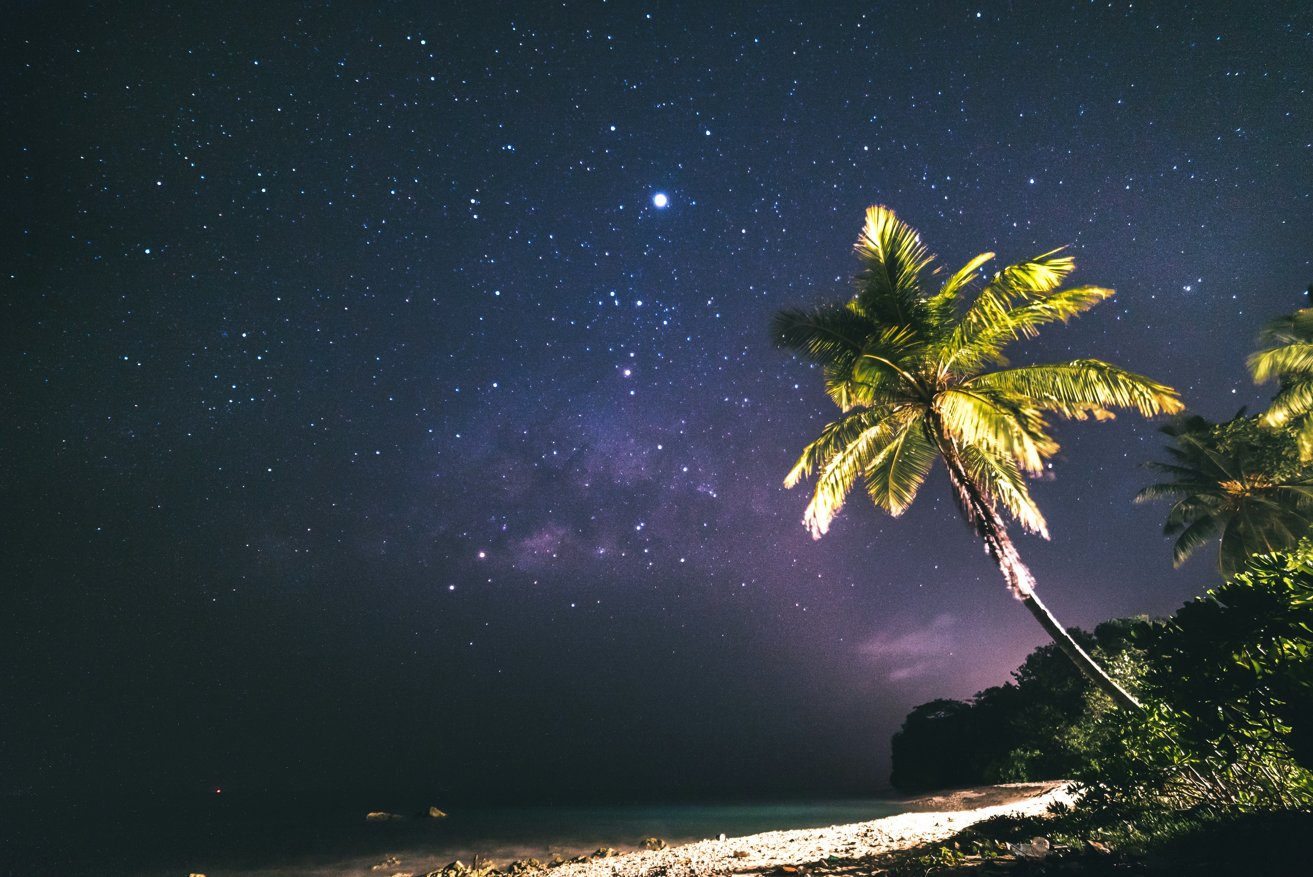 Starry Night Over Tropical Beach