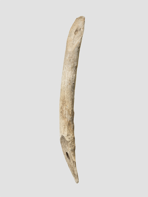 Weathered Driftwood on Gray Background
