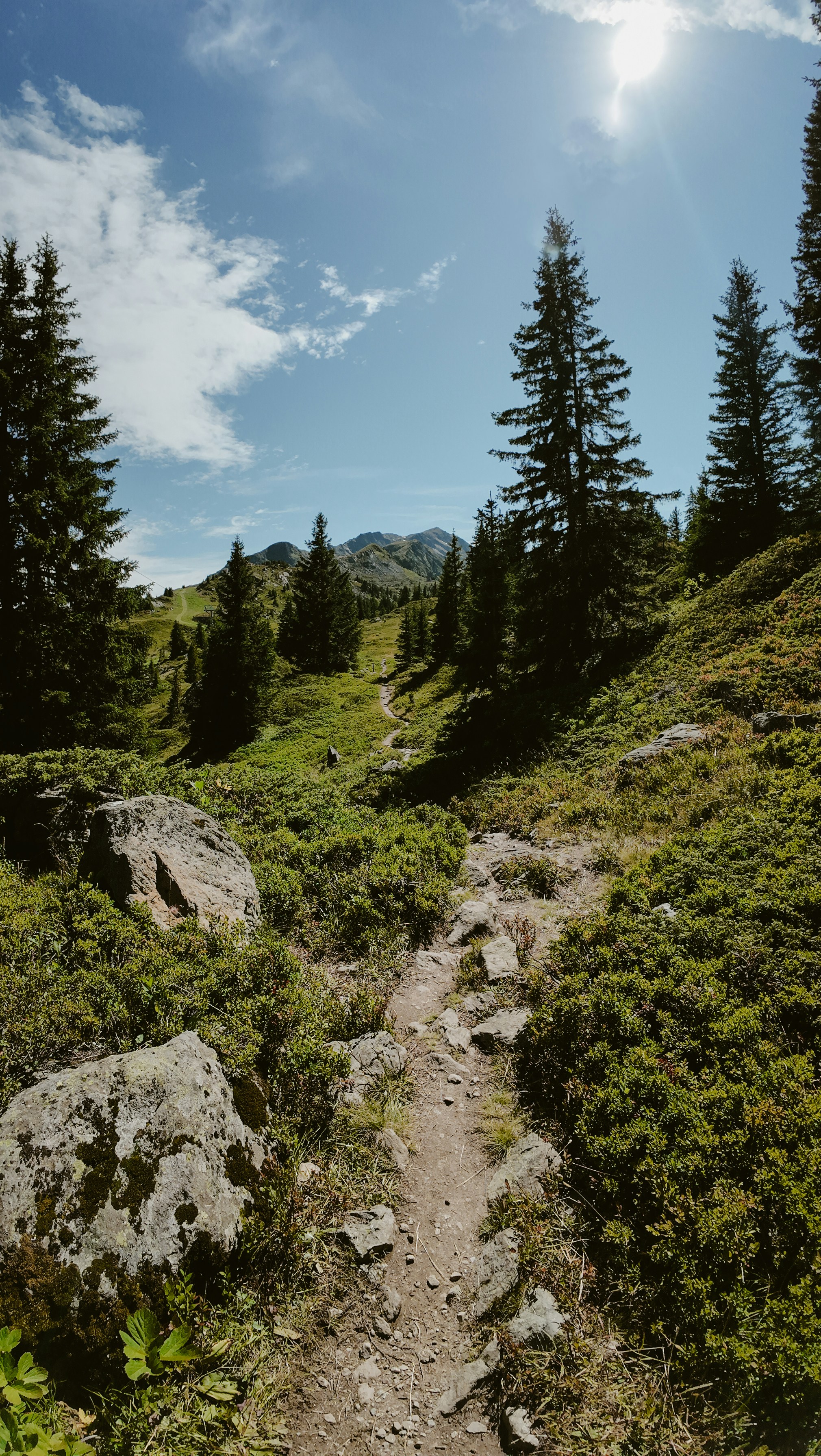 Wallpapers