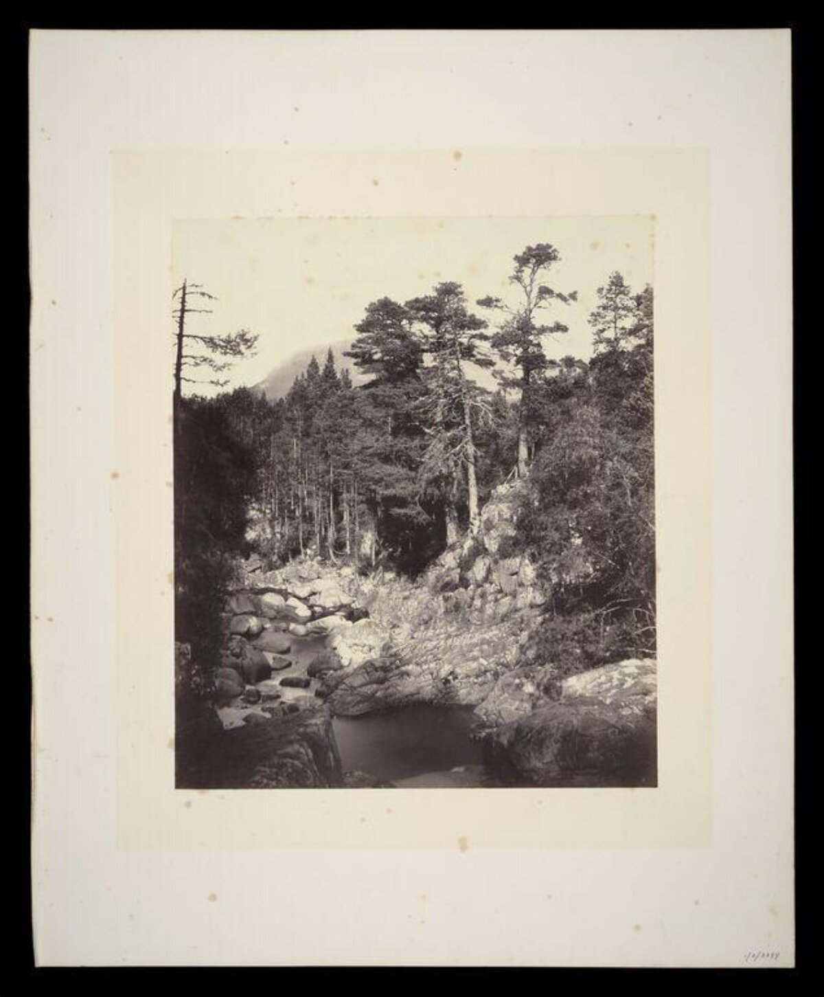 Vintage Forest Stream Landscape