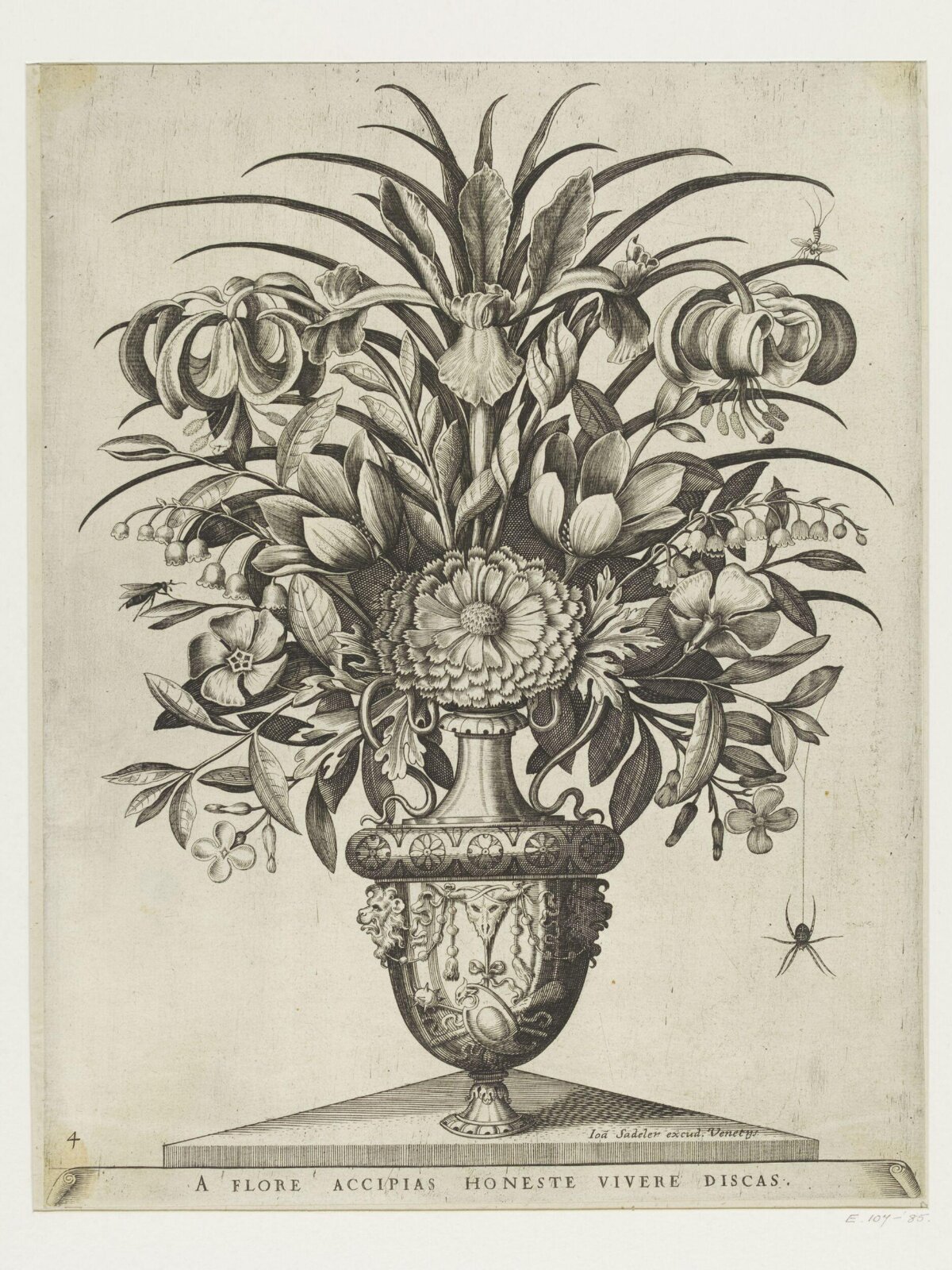 Flower Vase Still Life Engraving