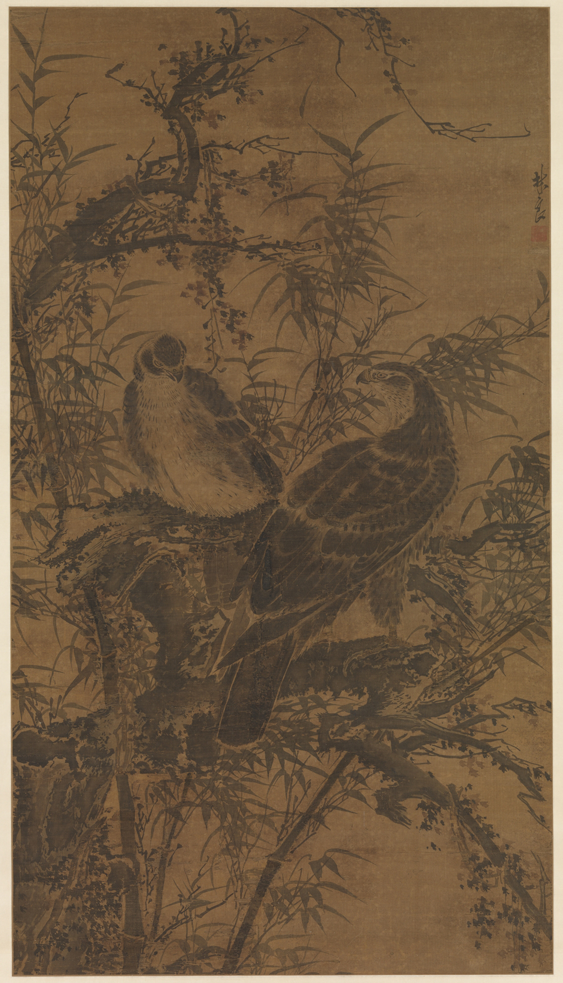 Two Hawks Perched on Old Branches