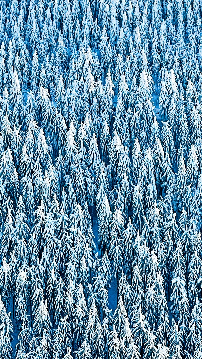 Wallpapers