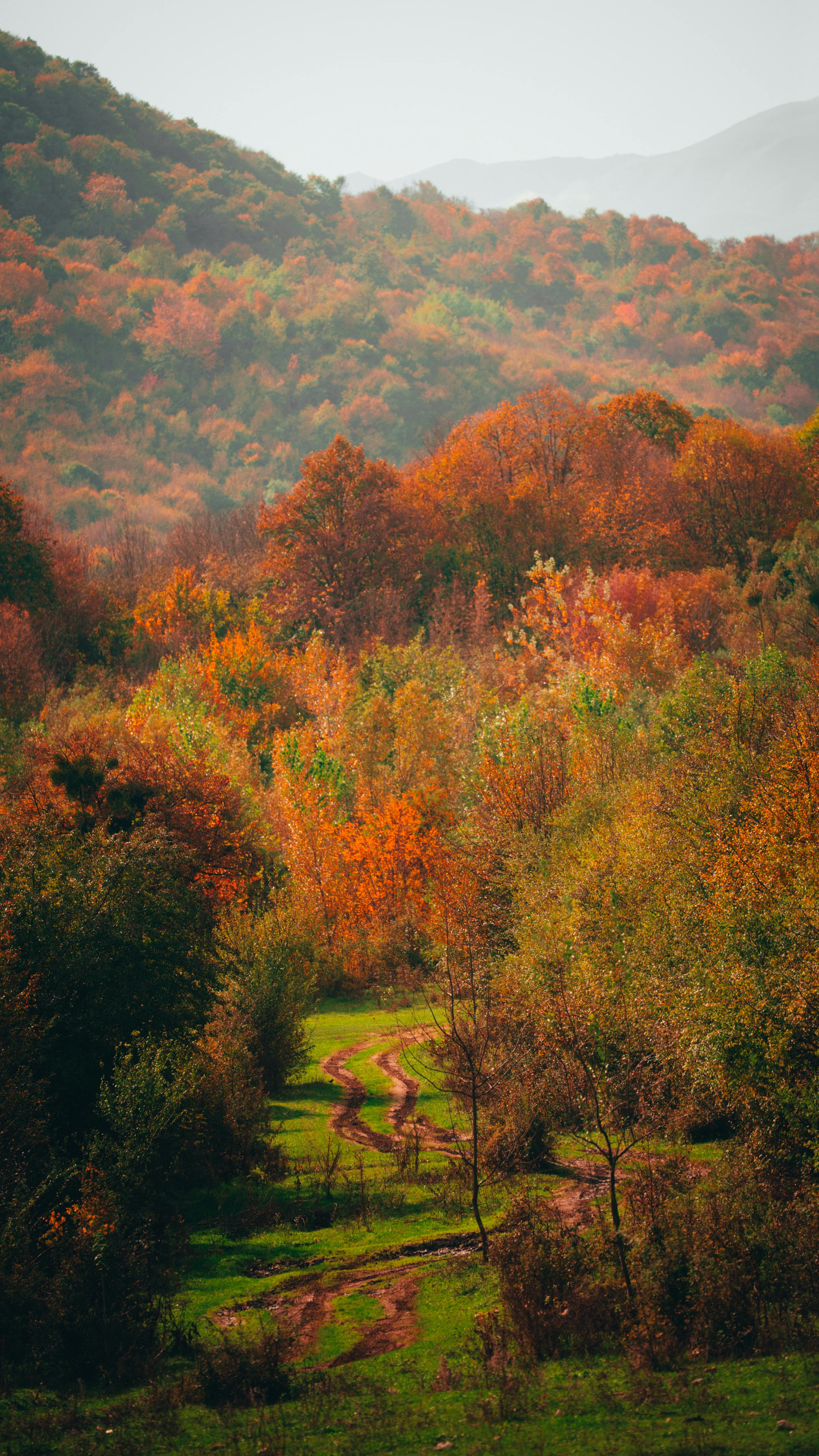 Autumn Mountain Valley Landscape