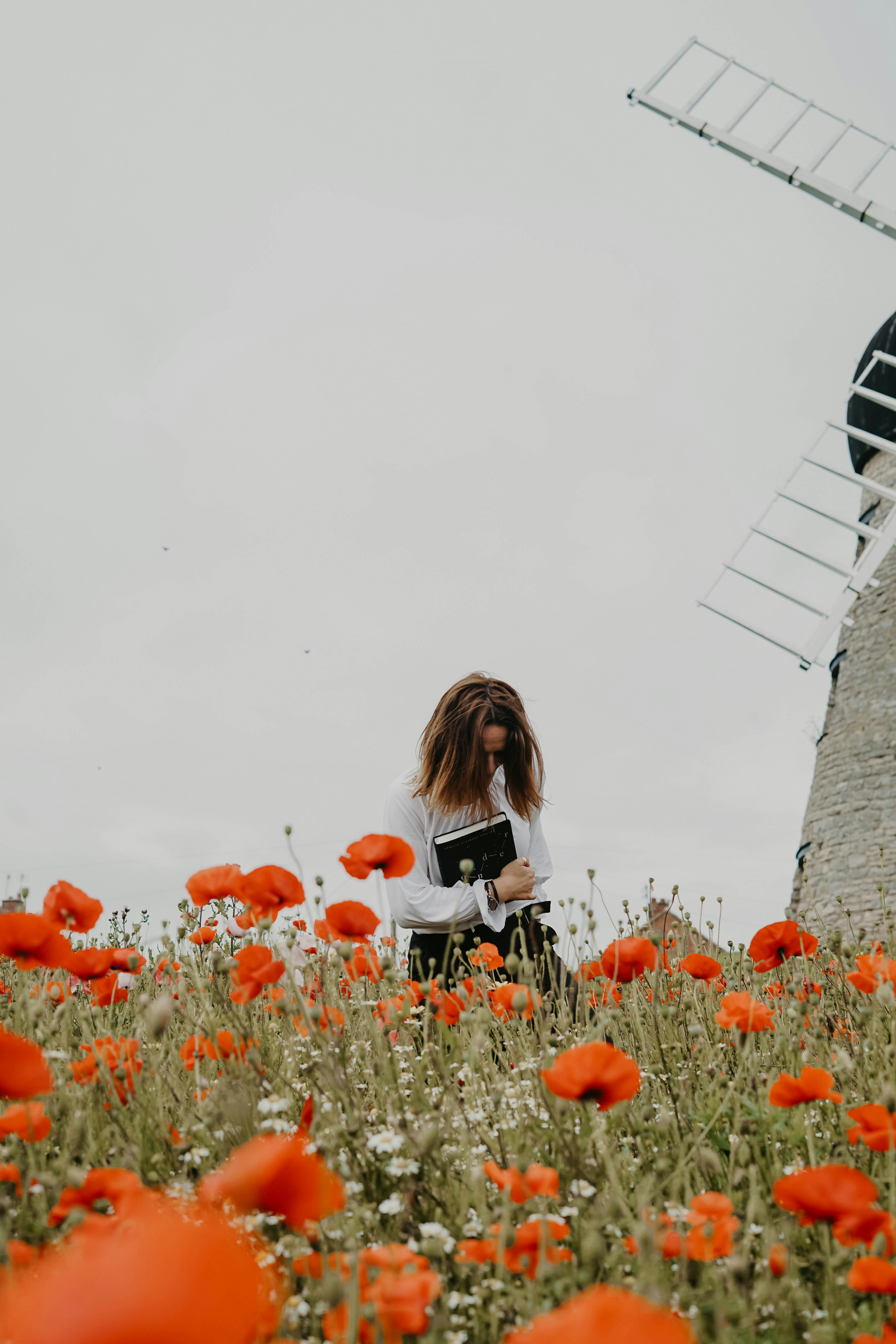 Reader With Book In Poppy Field By Windmill — Phone Wallpapers